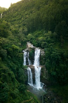 Captivating aerial view of a waterfall surrounded by lush greenery in Sri Lanka.