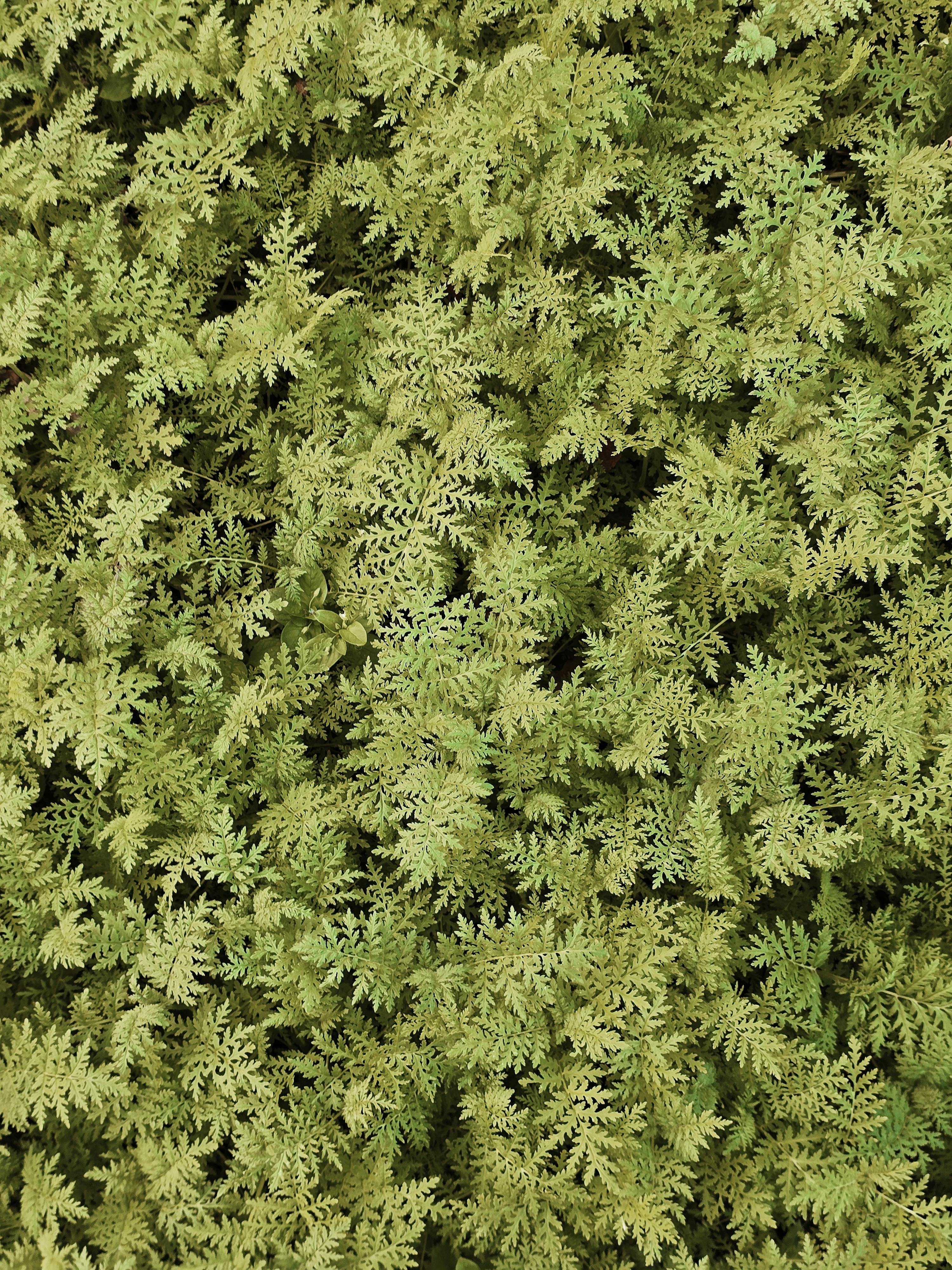 Wallpaper+Engine+Wallpapers++Downloader Photos, Download The BEST Free ...