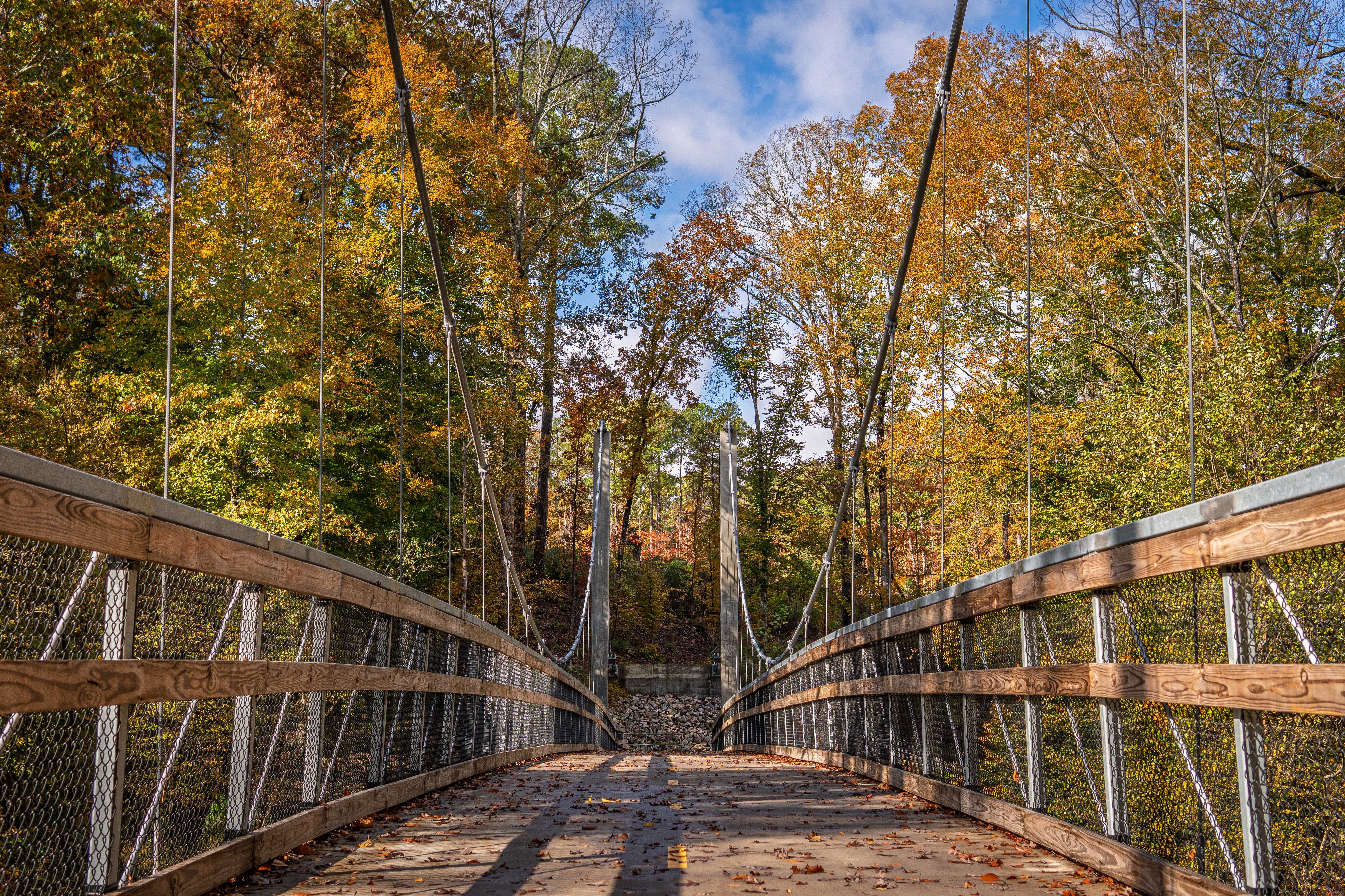 Top Durham, NC Birthday Freebies With No Purchase Necessary: Safe Entry Guide