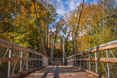 Free Suspension bridge surrounded by vibrant fall foliage, capturing a serene natural landscape. Stock Photo