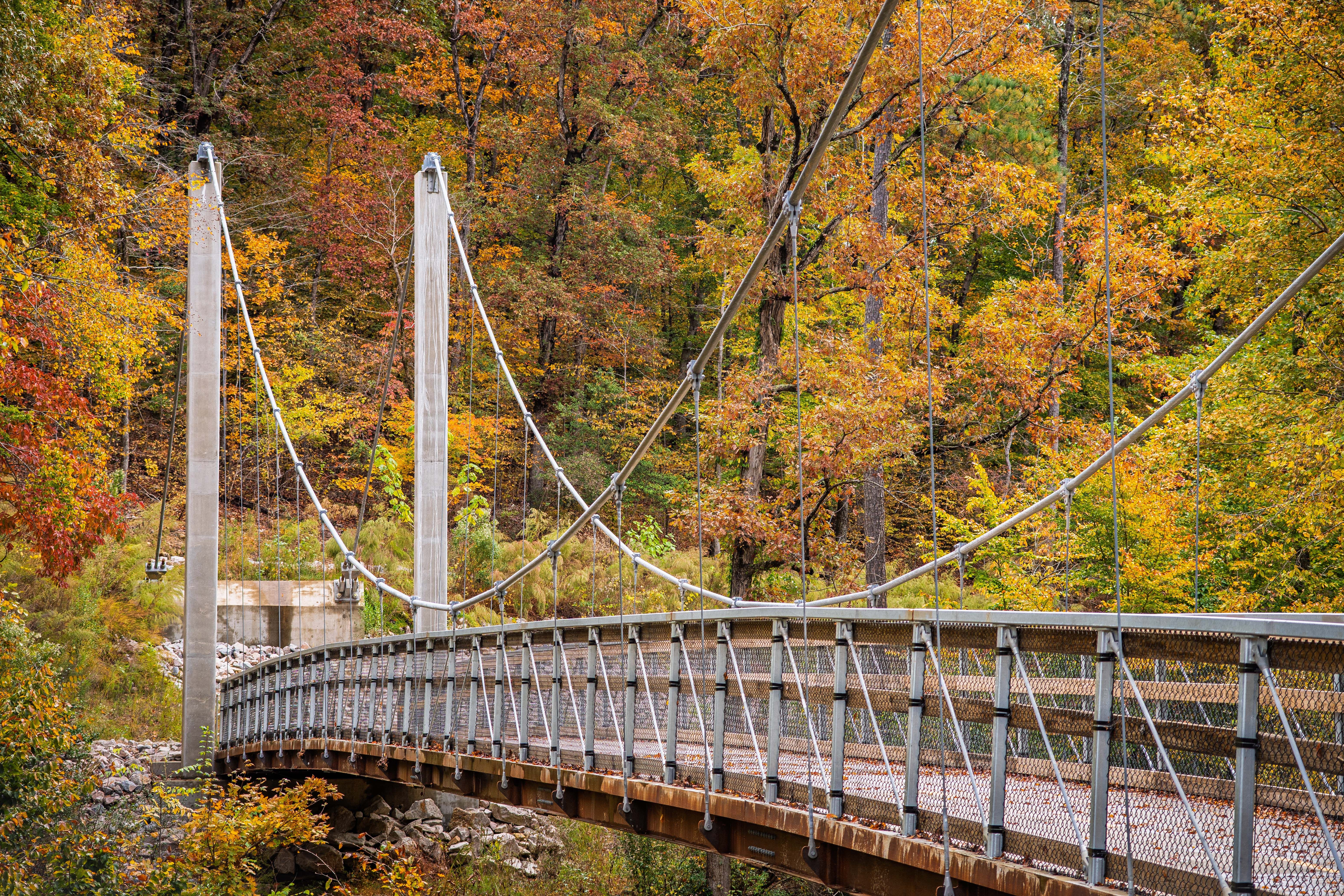 Scenic Suspension Bridge in Autumn Forest · Free Stock Photo