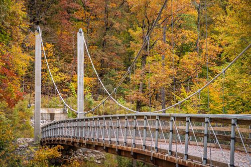 Free A suspension bridge surrounded by vibrant autumn foliage in a serene forest setting. Stock Photo