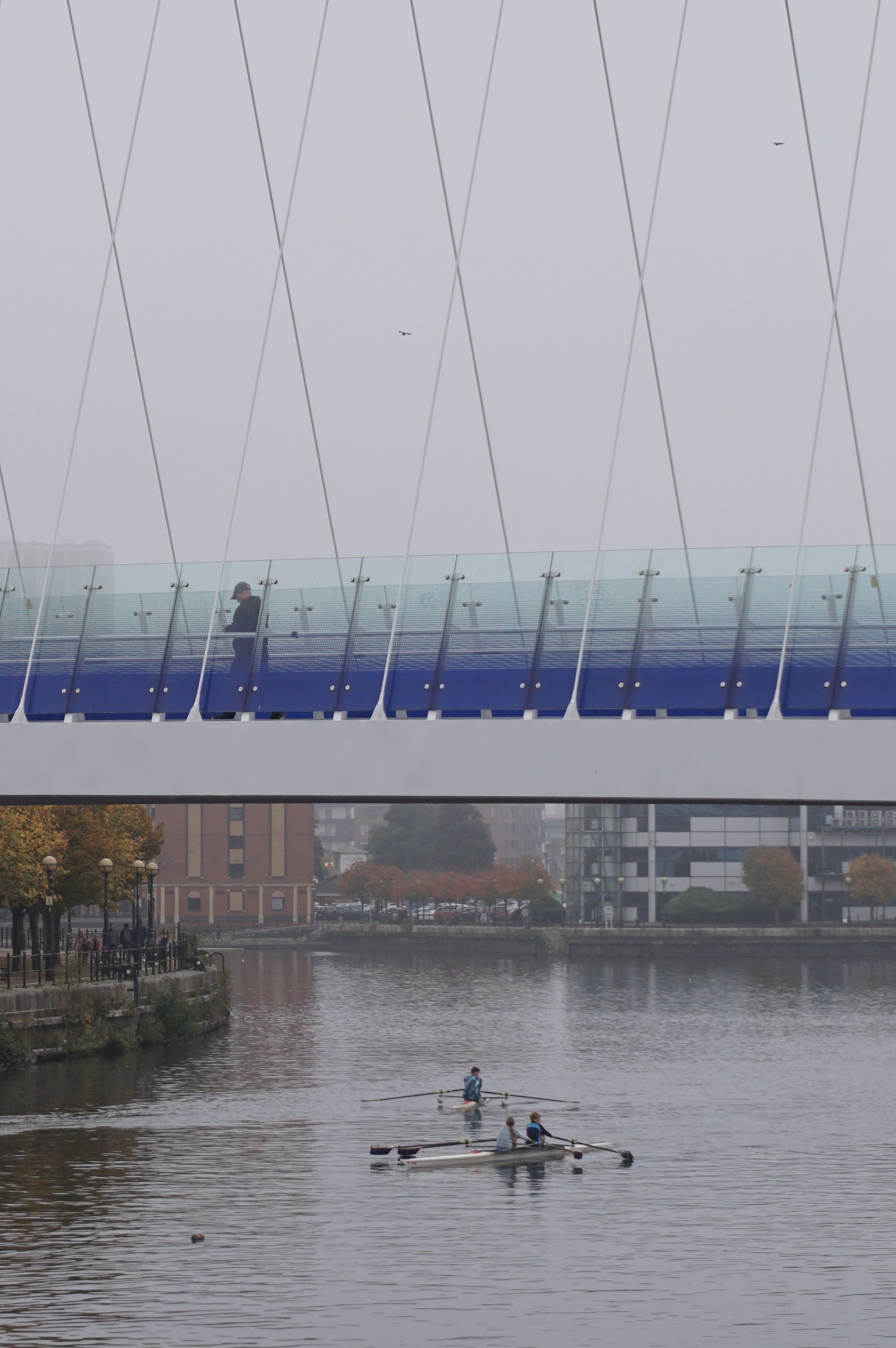 Rowers under Modern Bridge on Foggy River · Free Stock Photo