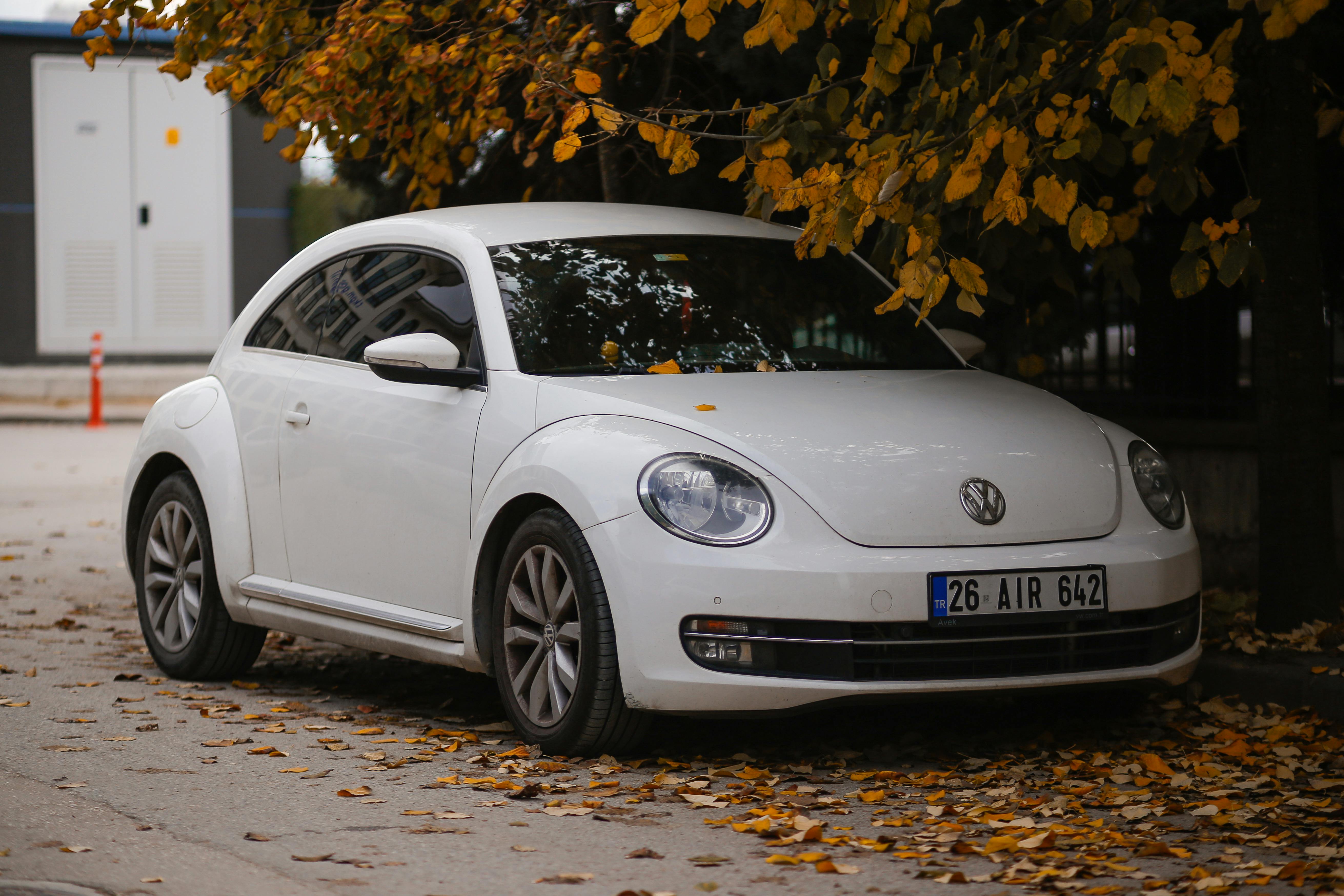 Free A white Volkswagen Beetle parked under a tree with autumn leaves, showcasing a serene street scene. Stock Photo