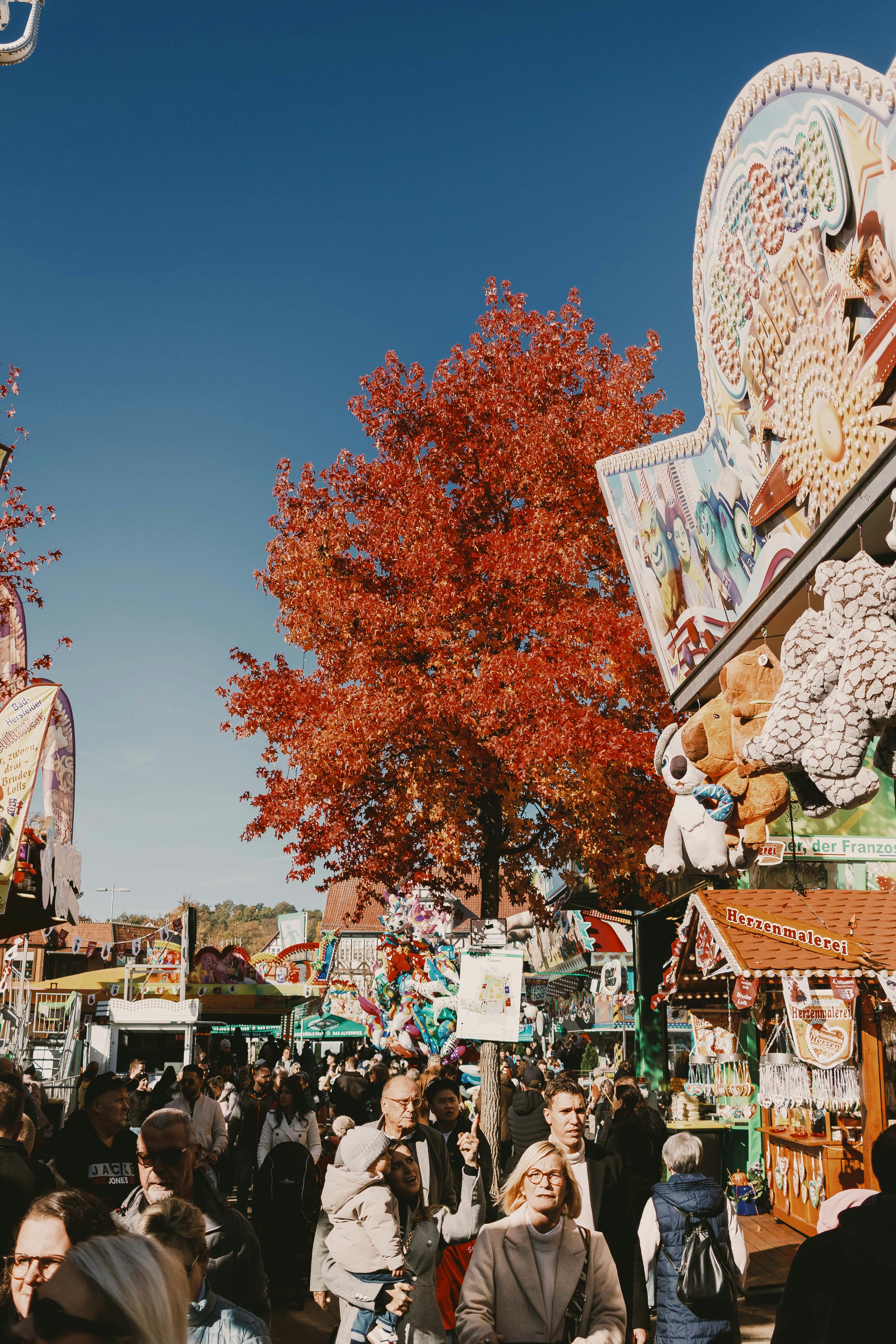 Activități și Produse de Sezon