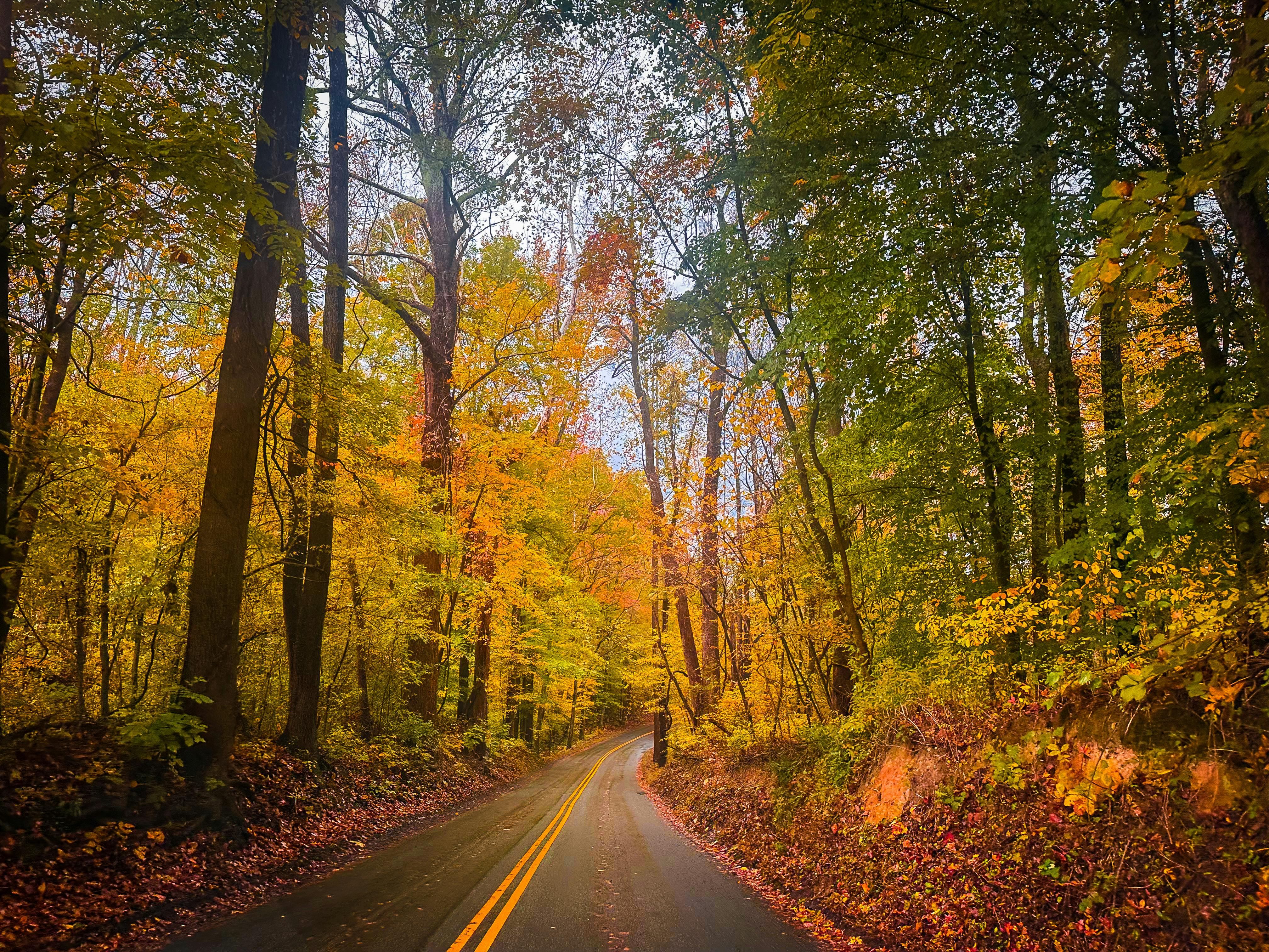 Iconic Fall Road Trips Across America—How Many Have You Taken?