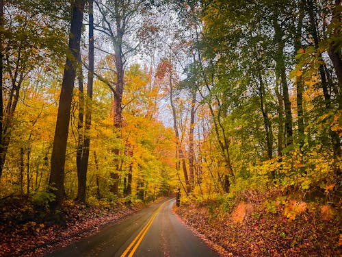 Iconic Fall Road Trips Across America—How Many Have You Taken?