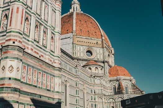 Tuscan truffle hunt with a family — Florence