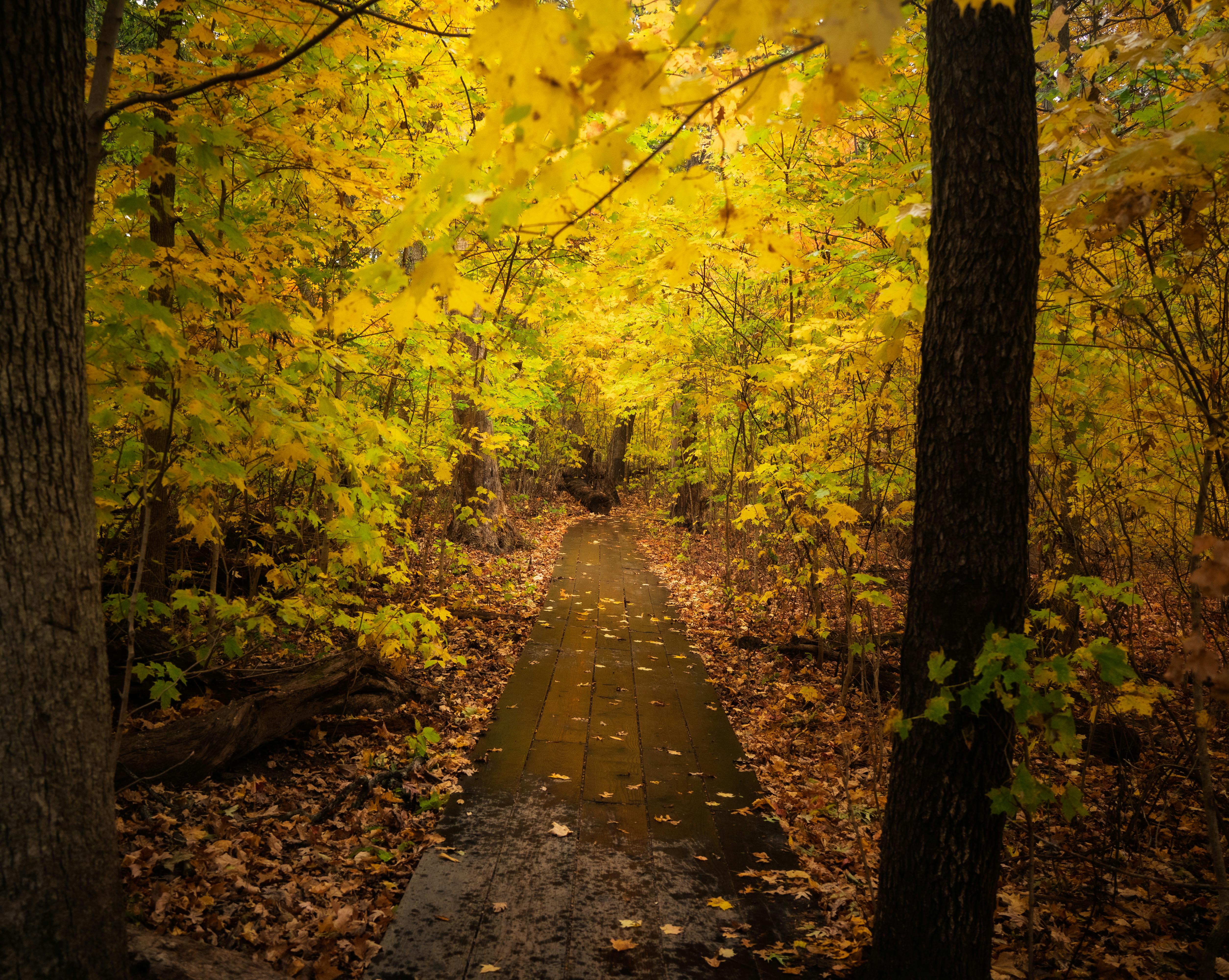 DuPage Forest Preserve executive director leaving for city manager job in Florida — Photo by Wendell Stoyer on Pexels