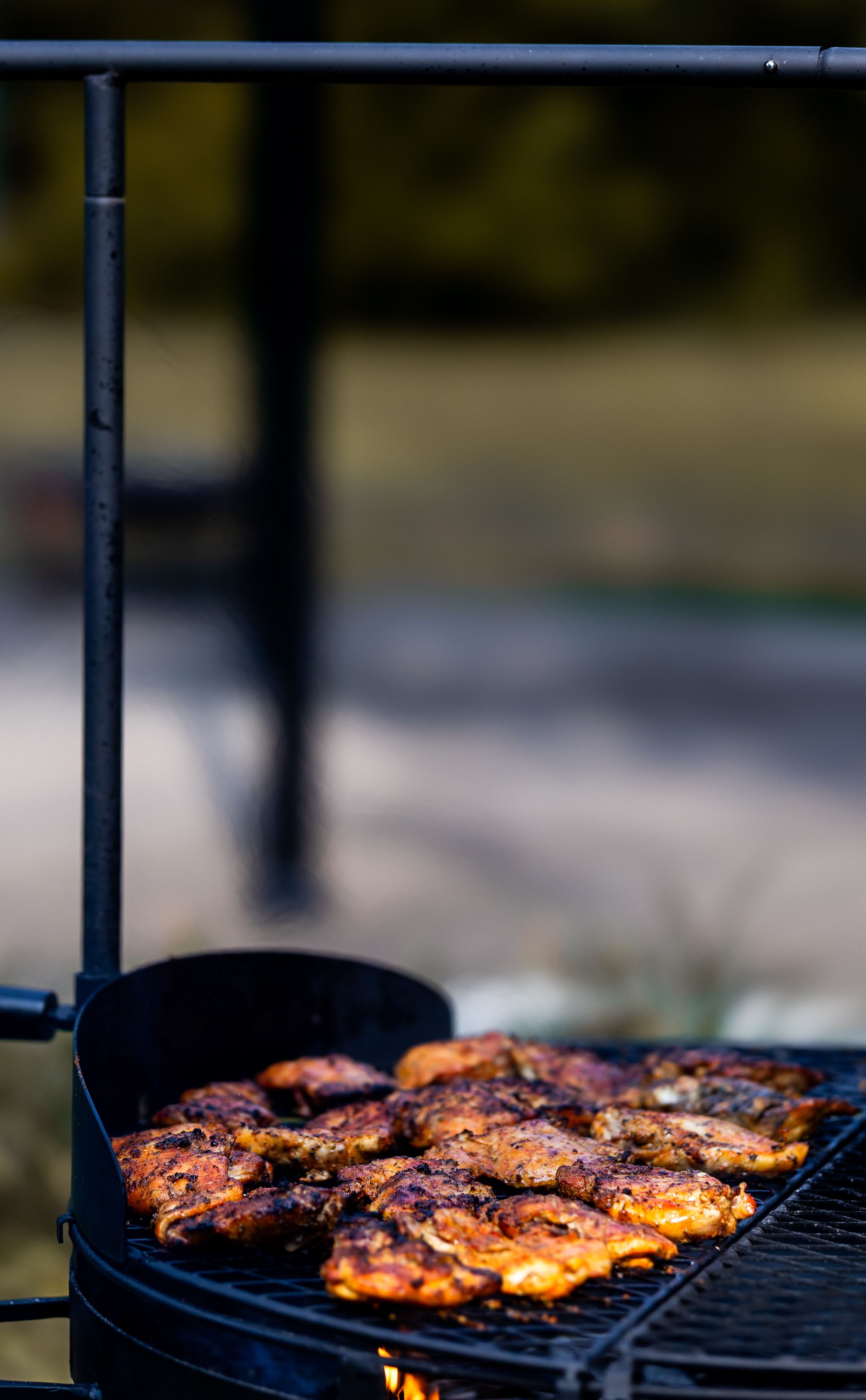 Golden-brown grilled chicken thighs with beautiful char marks, garnished with fresh cilantro and sliced green onions, served with lime wedges on a white plate