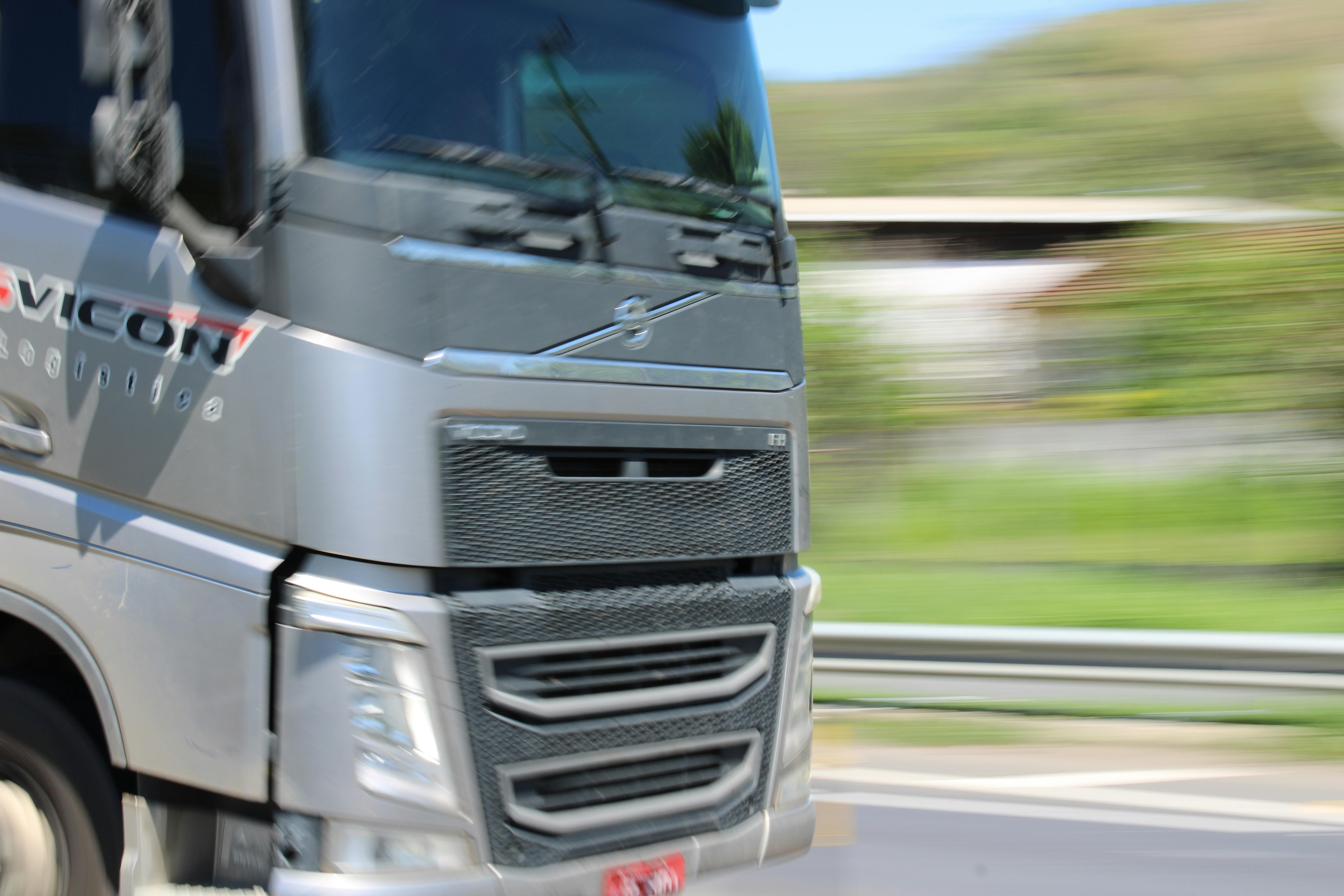 Dog Road Trip Gear Checklist: Everything You Need