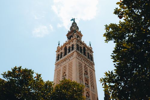View of the iconic Giralda Tower in Seville framed by lush green leaves against a bright sky.