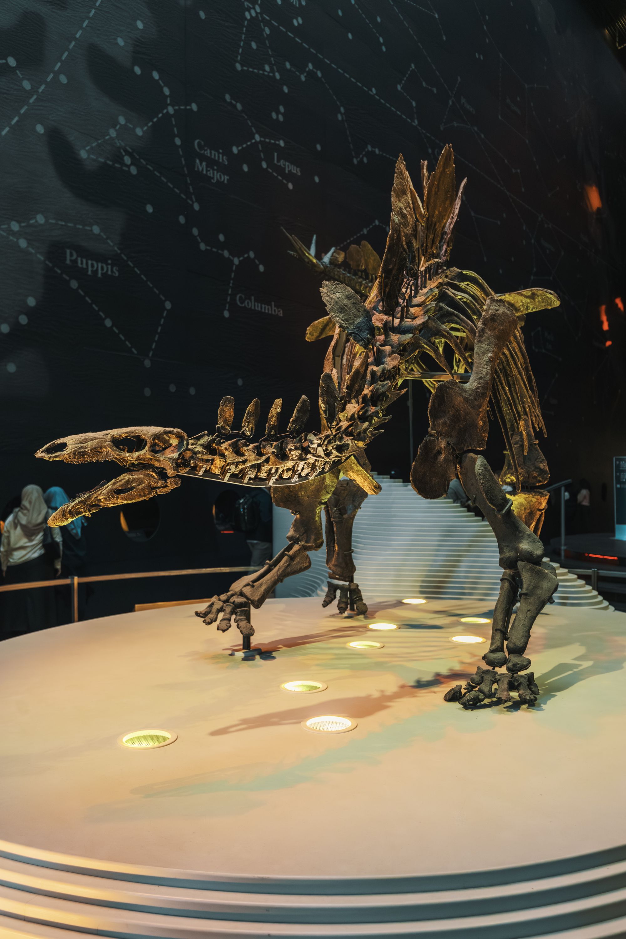 What Did Dinosaurs Really Look Like? Science vs. the Movies