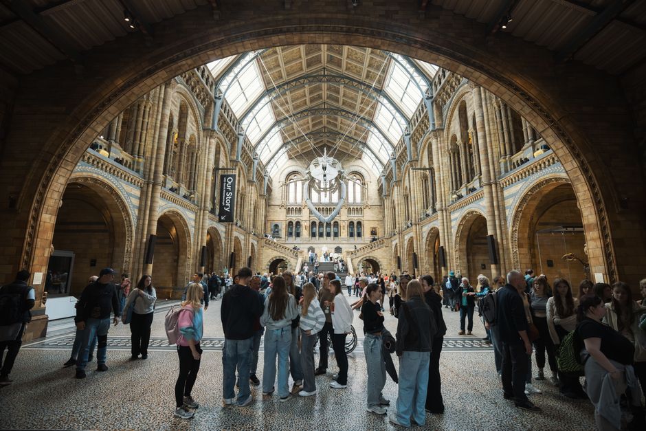Serpentine North to Host Major Amar Kanwar Solo Exhibition and Film Premiere in 2026