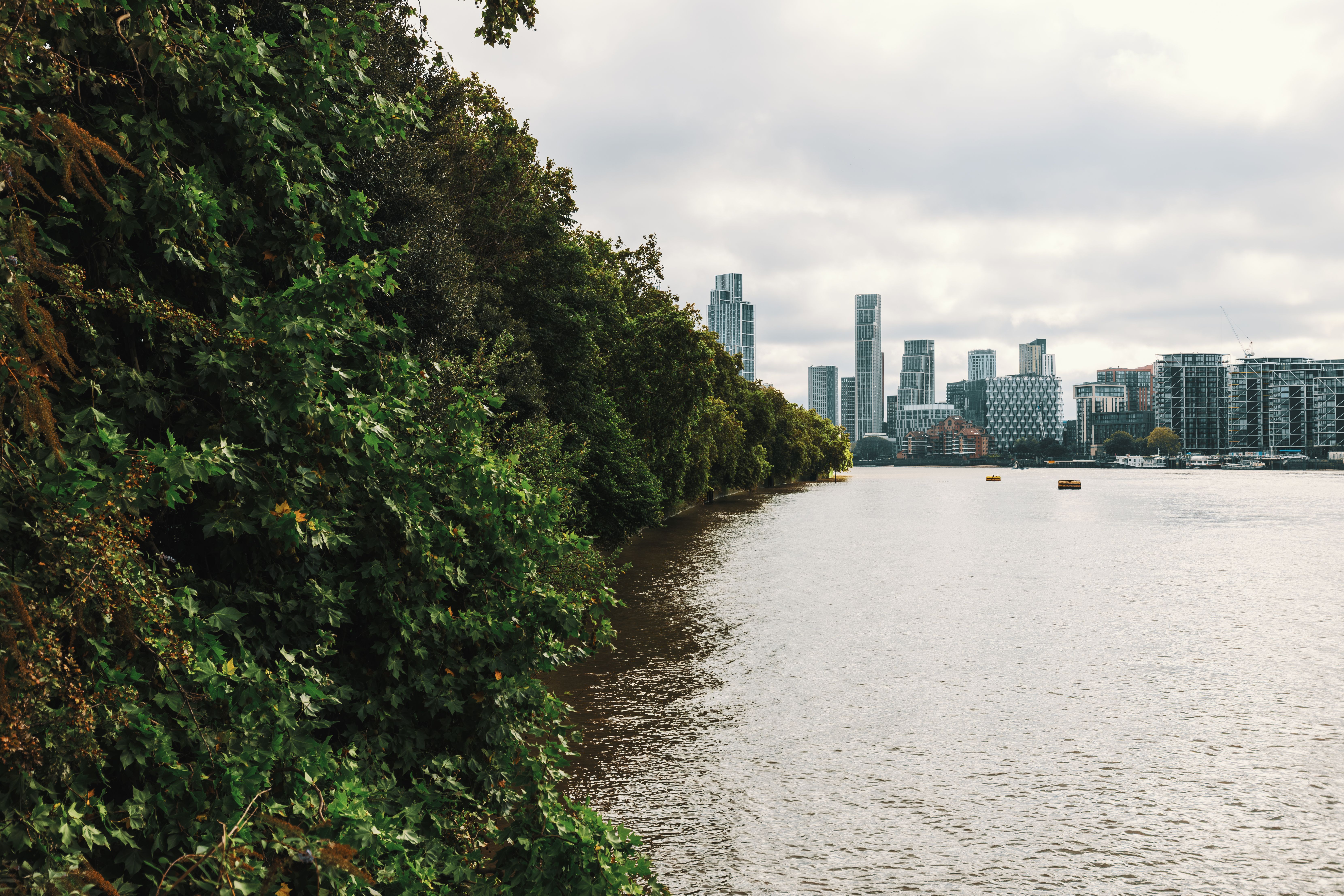 Riverbank View with Modern Skyline · Free Stock Photo