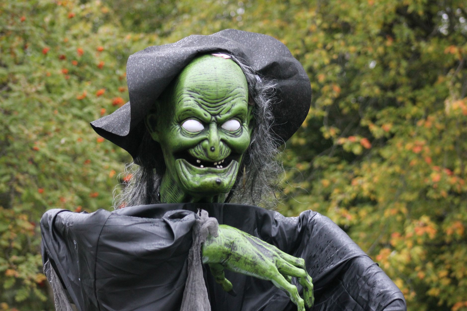 Spooky green witch figure with menacing grin in autumn setting, ideal for Halloween themes.