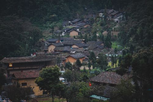 Free Charming rustic village surrounded by lush greenery in Ha Giang, Vietnam. Stock Photo