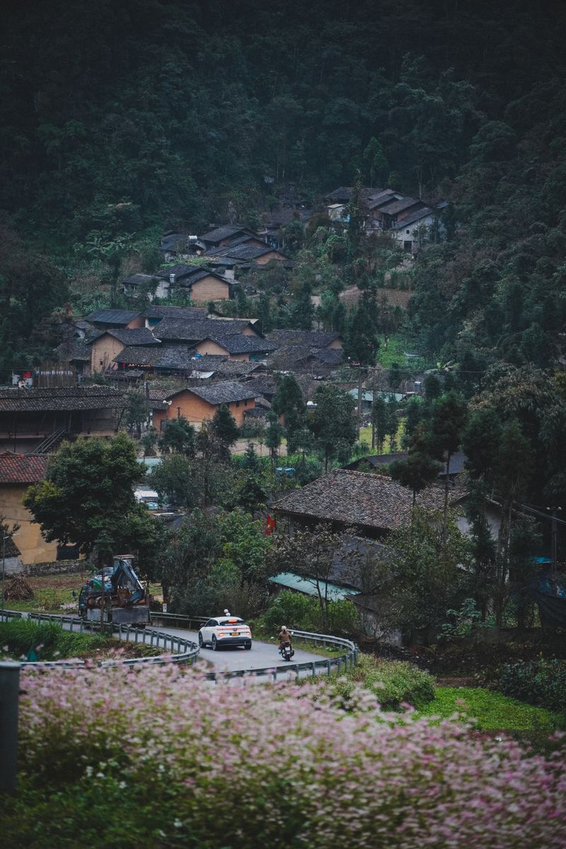 Yen Minh