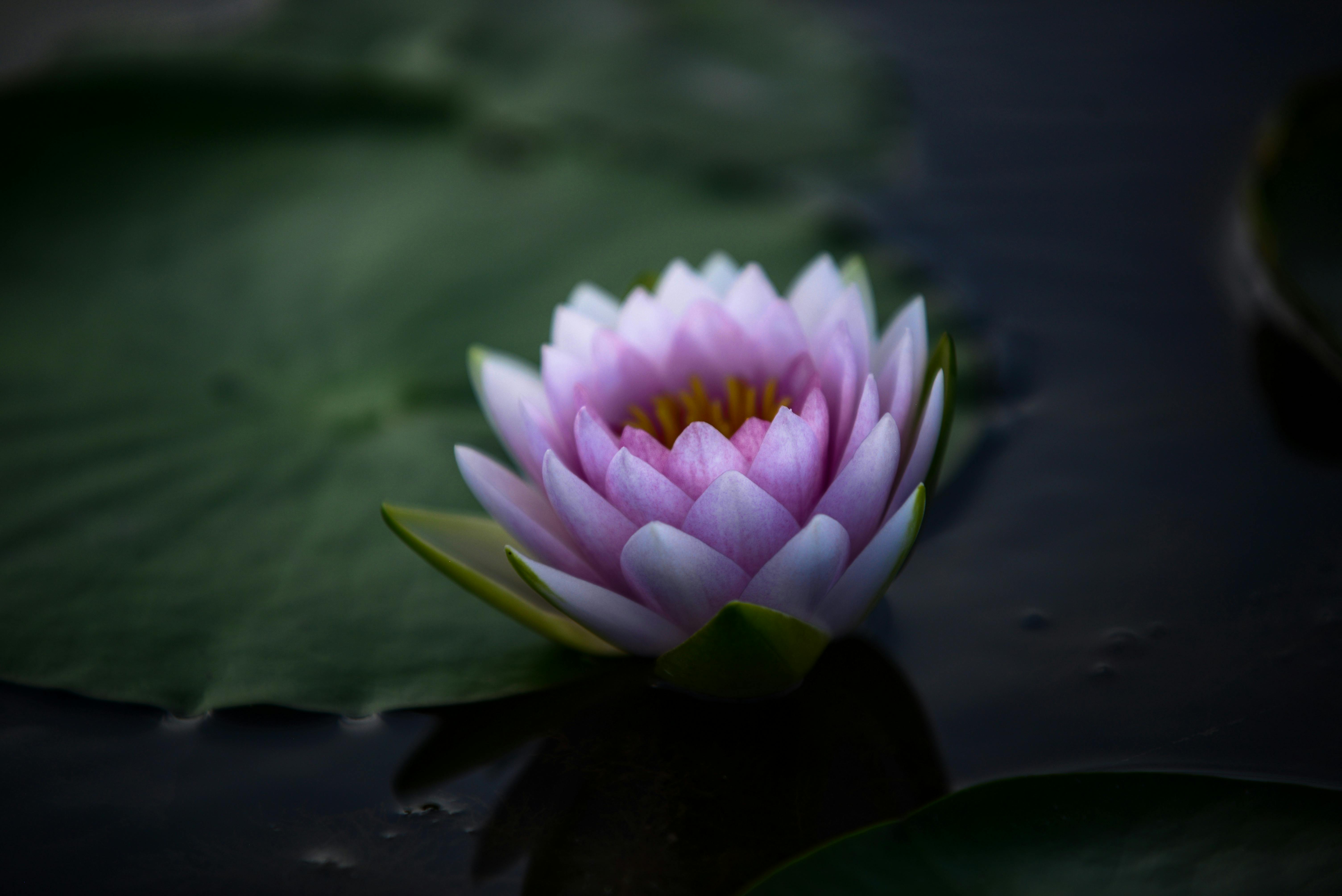 慧傳法師在《人間LIFE福山TALK》暢談佛法與生活智慧