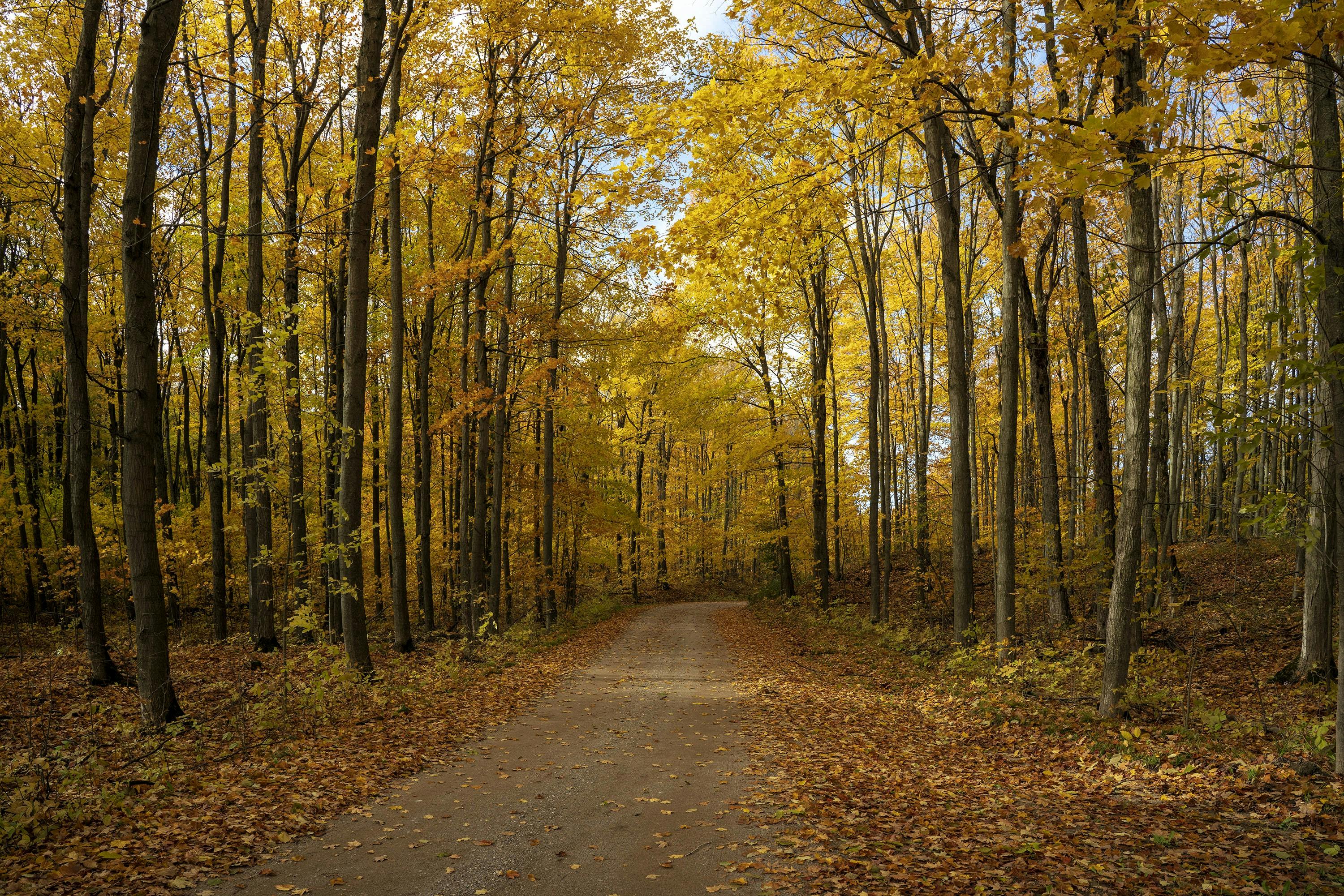 DuPage Forest Preserve executive director leaving for city manager job in Florida — Photo by Hyukman Kwon on Pexels
