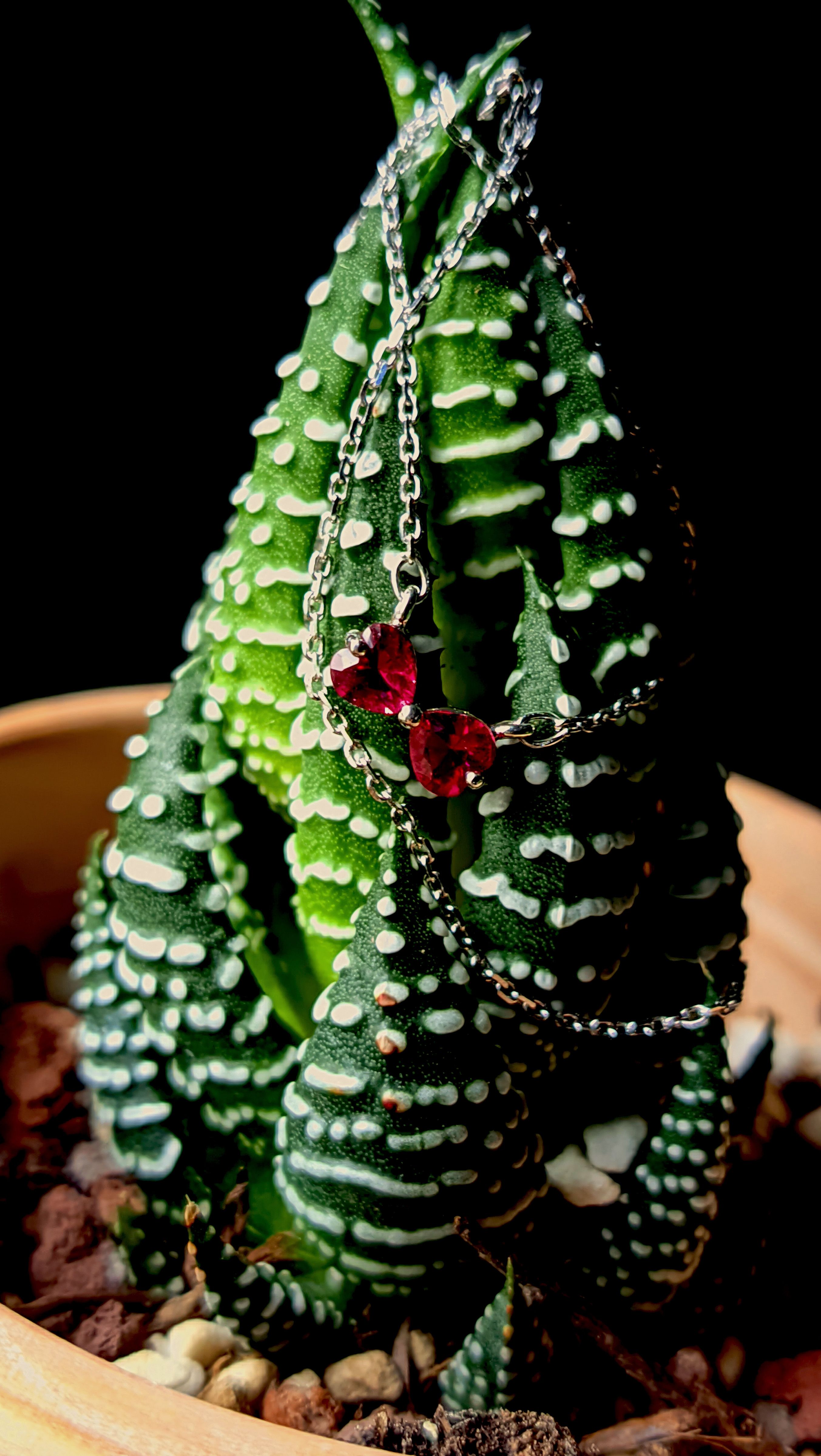 Zebra haworthia plant adorned with a ruby necklace, set in a small decorative pot.