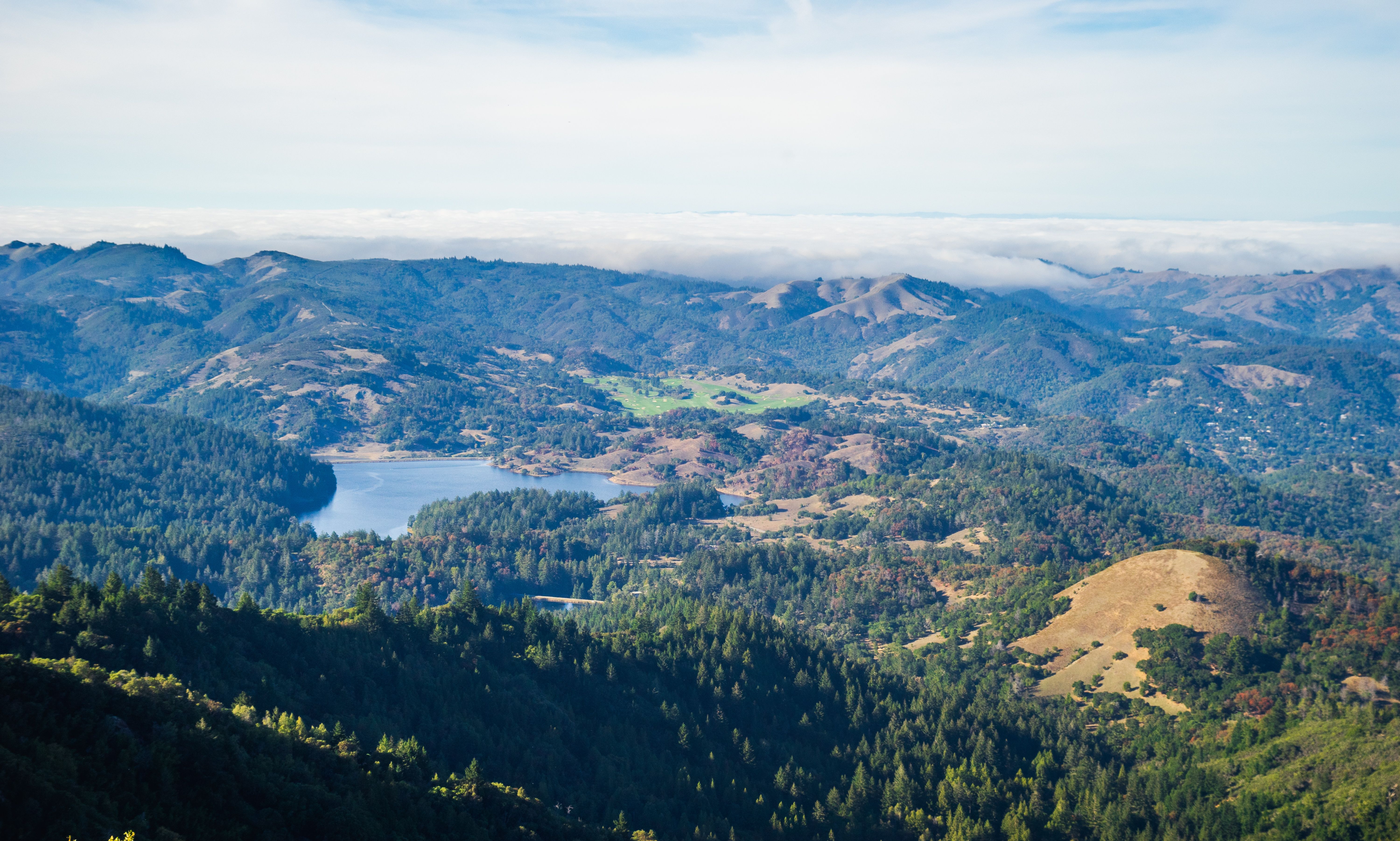 Stunning Aerial View of Lush Mountain Landscape · Free Stock Photo