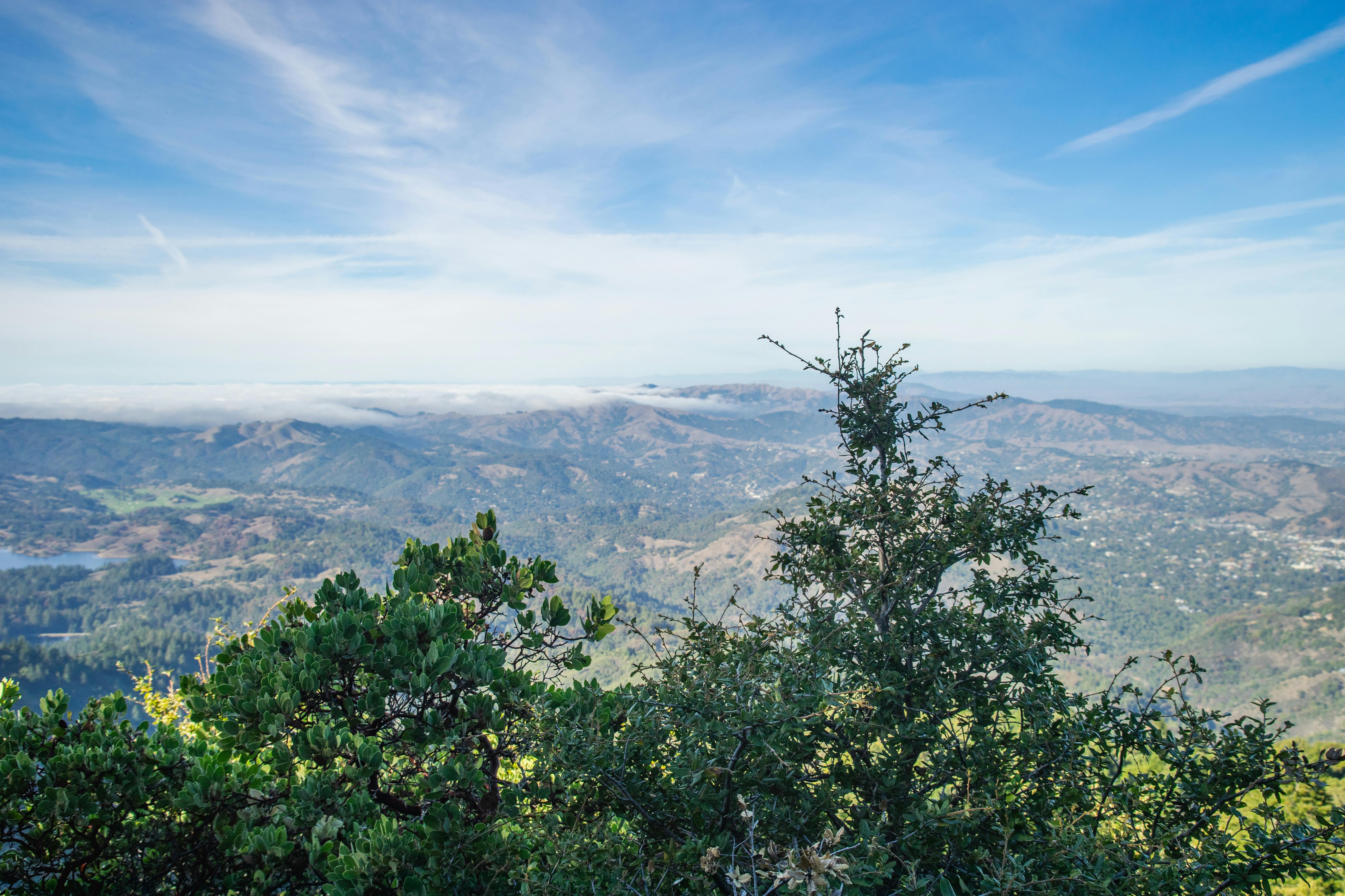 Marin County District 1 supervisor candidates differ on flooding response, sea level rise — Photo by Robert So on Pexels