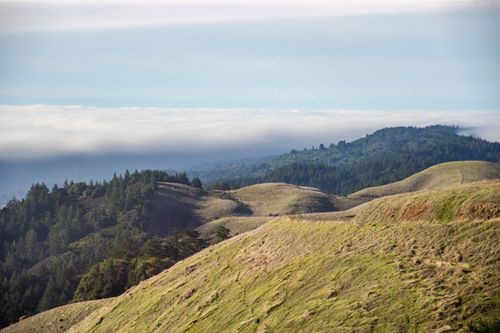 Free A breathtaking view of rolling hills and dense forests under a misty sky. Stock Photo