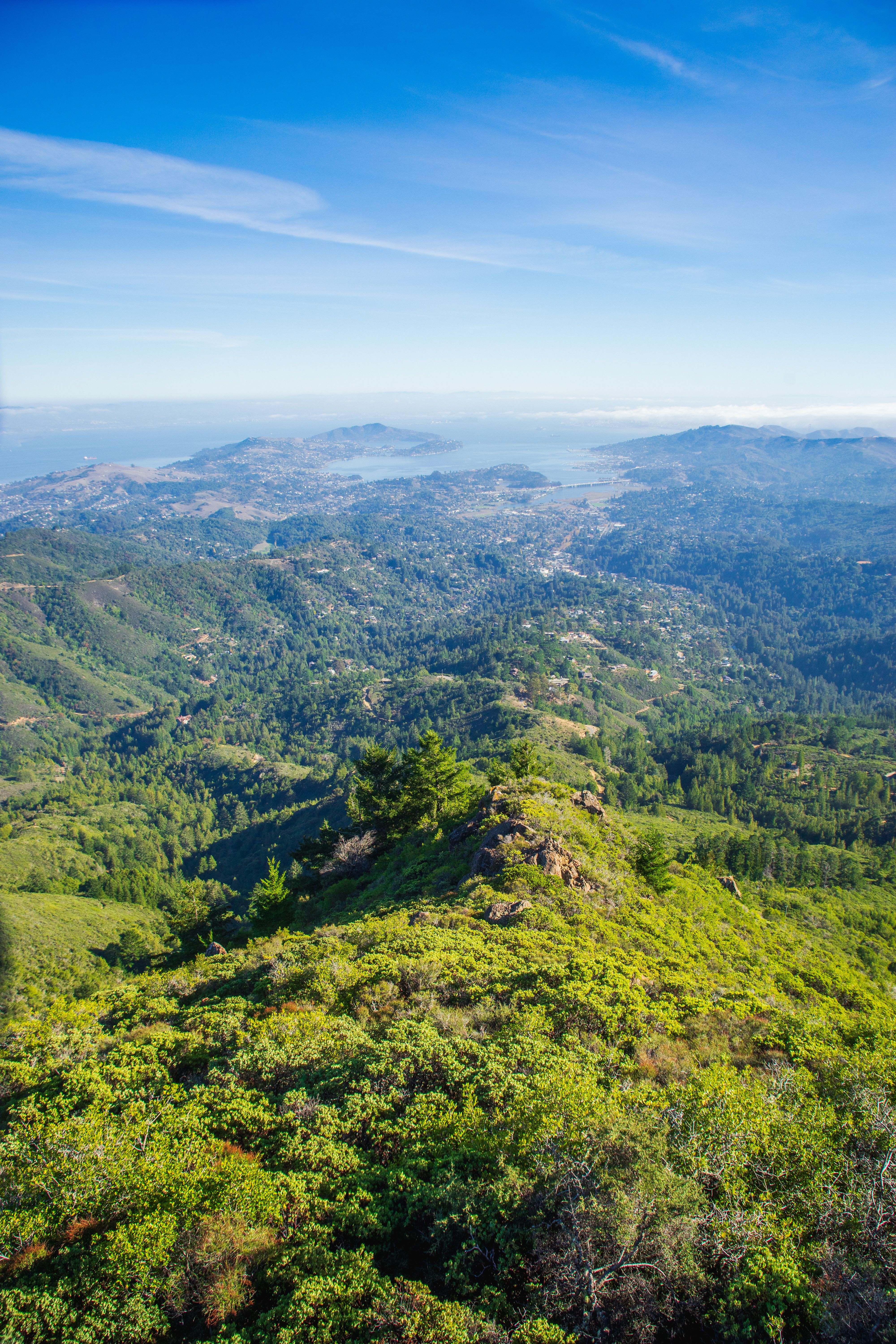 Aerial View of Lush Green Landscape in Summer · Free Stock Photo