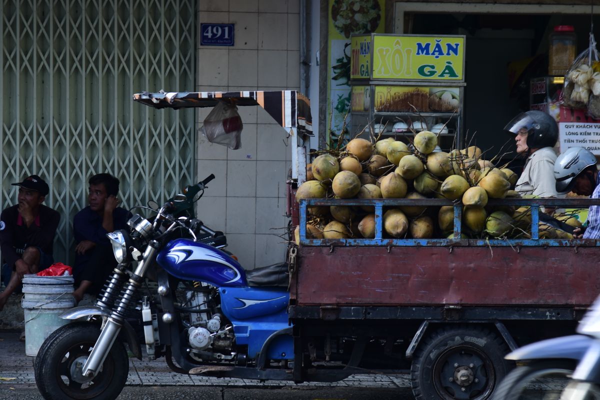 Kelapa muda diangkut di atas kenderaan kecil ke tapak jualan