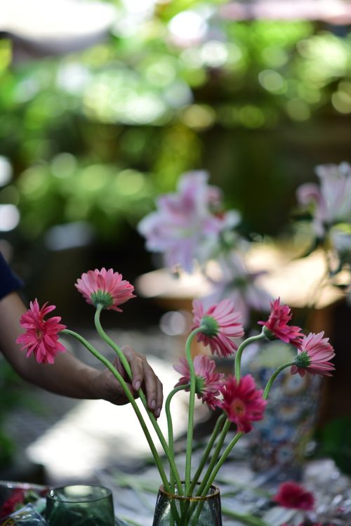 Flower arrangement — Sóc Năng Động on Pexels