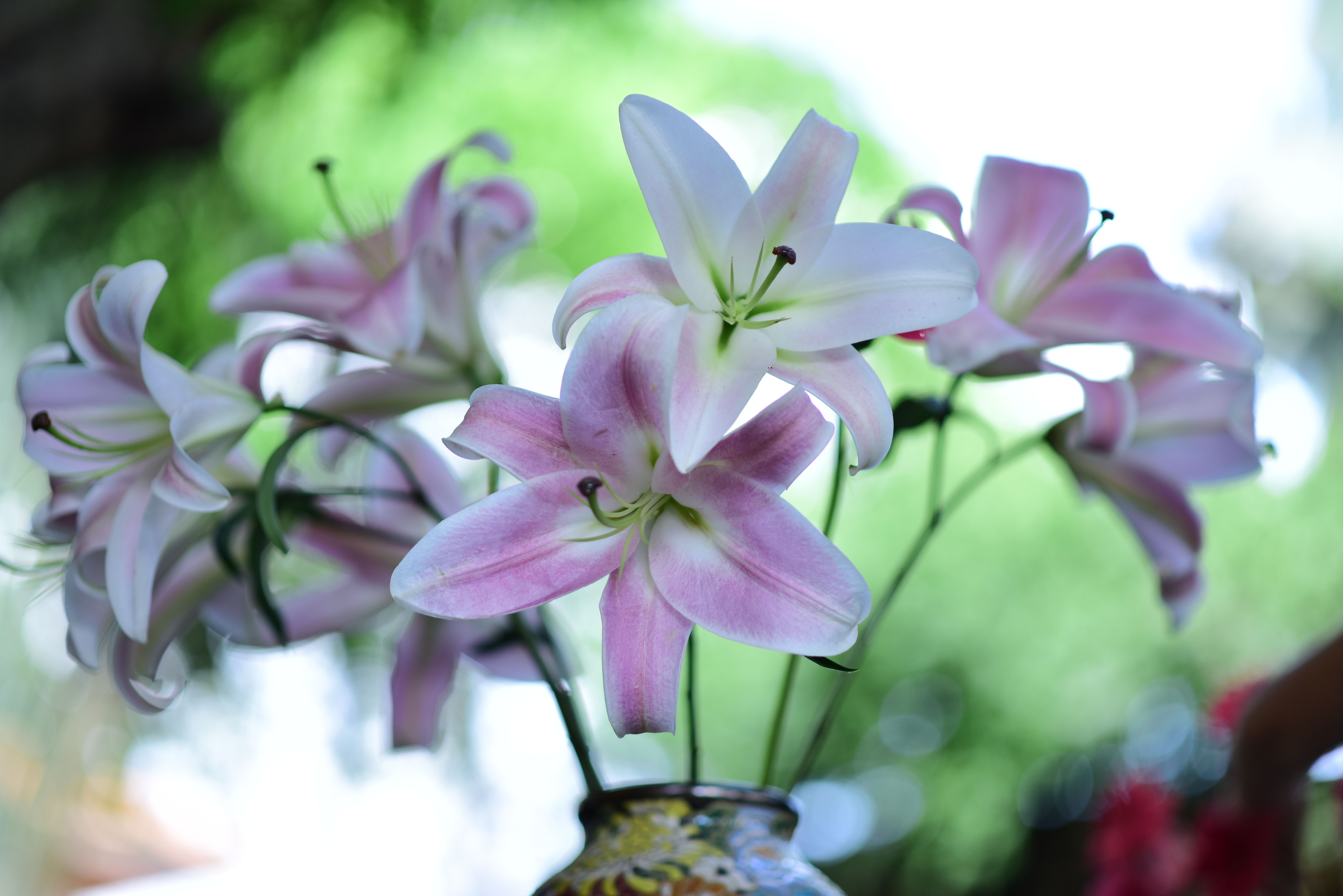 [ColoSach]-a-delicate-arrangement-of-pink-lilies-in-a-decorative-vase,-captured-outdoors-in-natural-light.