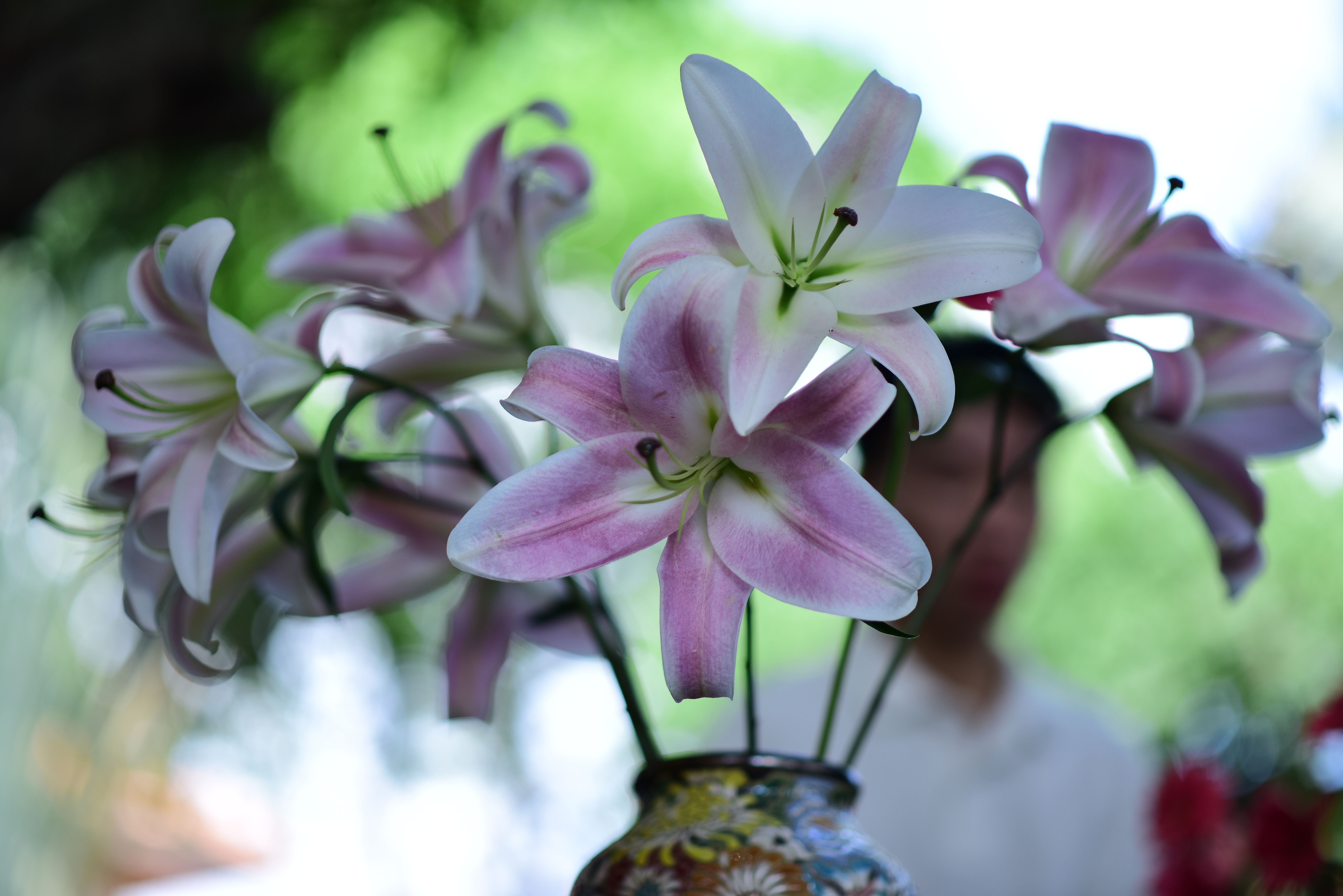 [ColoSach]-close-up-of-elegant-pink-lilies-in-a-decorative-vase-against-a-blurry-background.