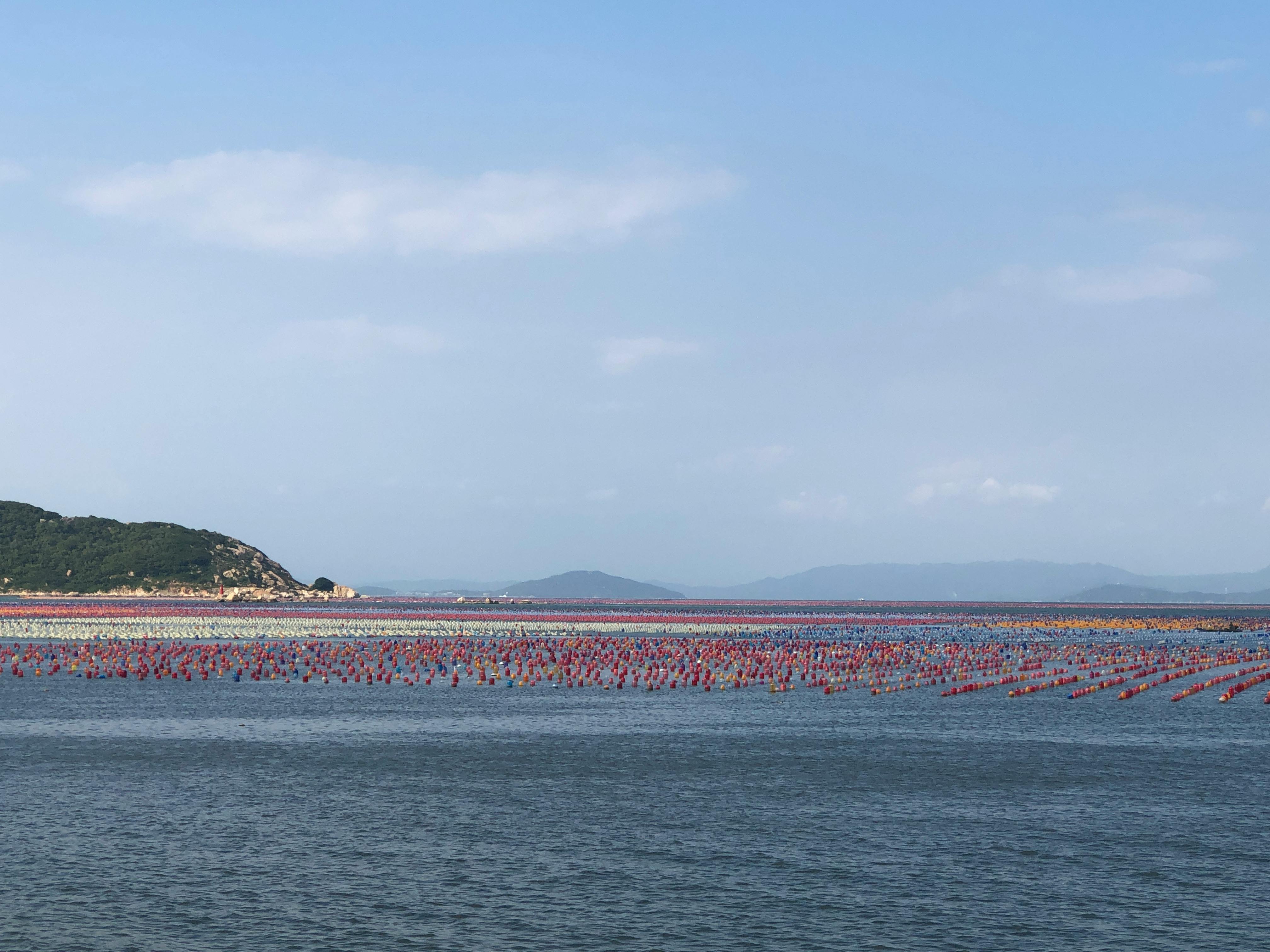 科技賦能連江“耕海牧漁” 助力藍色經濟新篇章