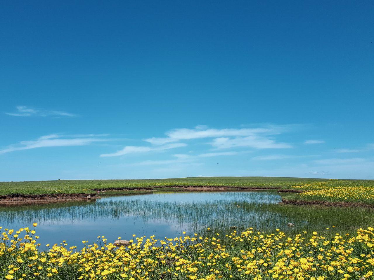 peaceful springtime scene with flowers and pond in vezirk pr samsun tu