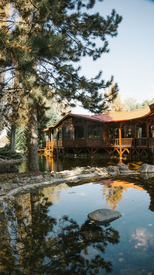 Free A serene wooden lodge by a reflective pond in a forest setting, ideal for nature lovers. Stock Photo