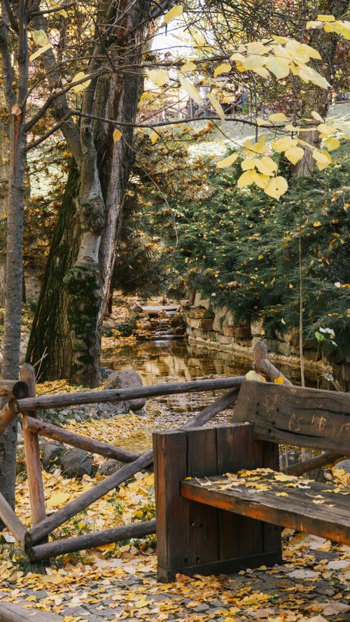 Free A tranquil autumn scene in a park with a wooden bench and fallen leaves. Stock Photo