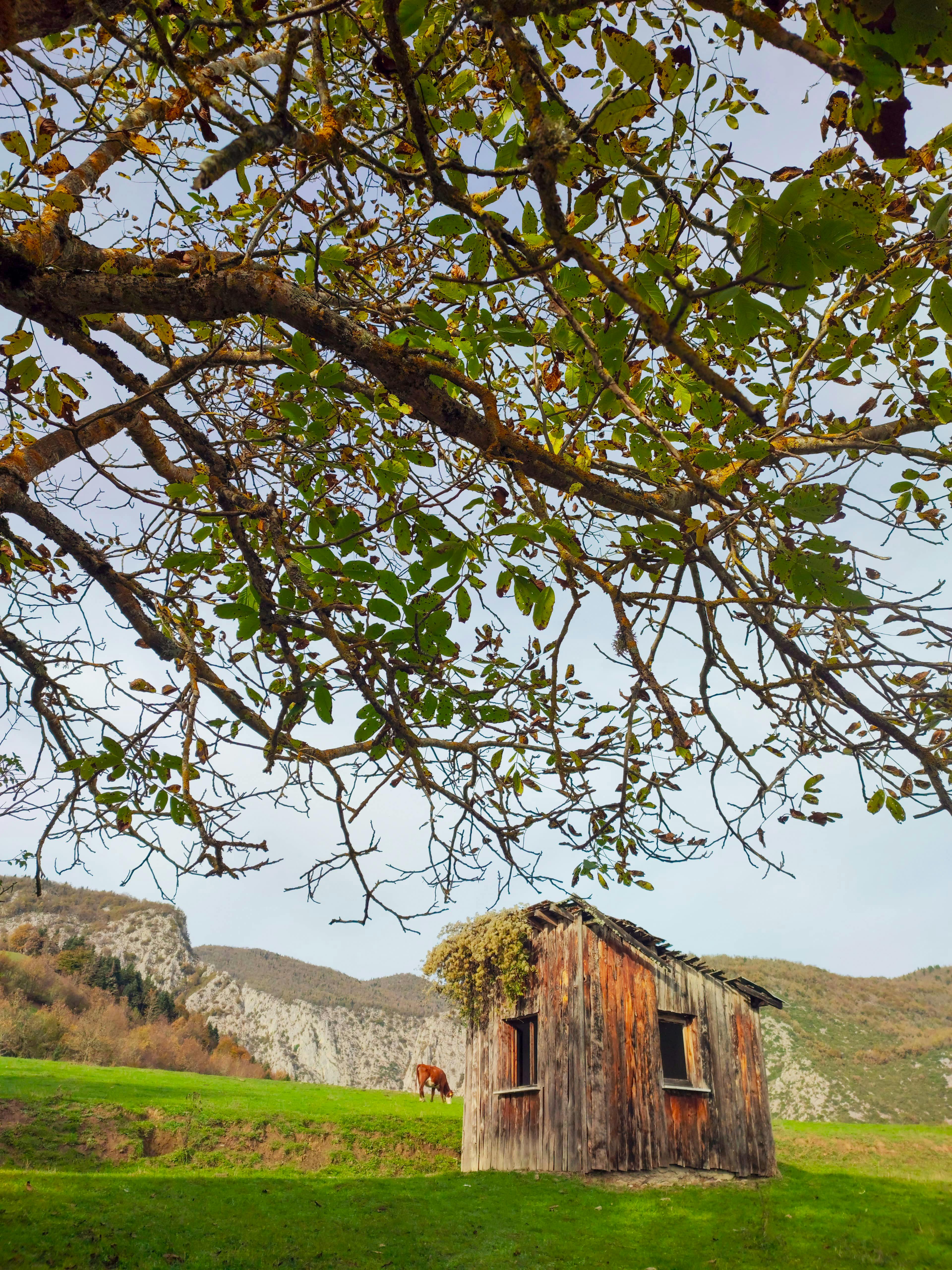 Kenzie+Reeves+And+Horse Photos, Download The BEST Free Kenzie+Reeves