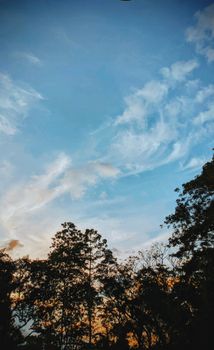 Vibrant sunset sky with scattered clouds over silhouetted trees creating a tranquil scene.