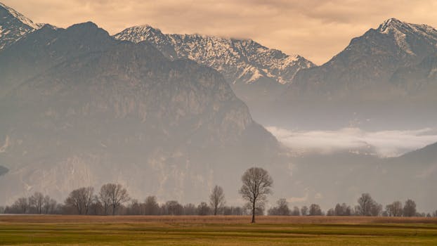 Captivating view of a lone tree set against majestic mountains under a moody sky.
