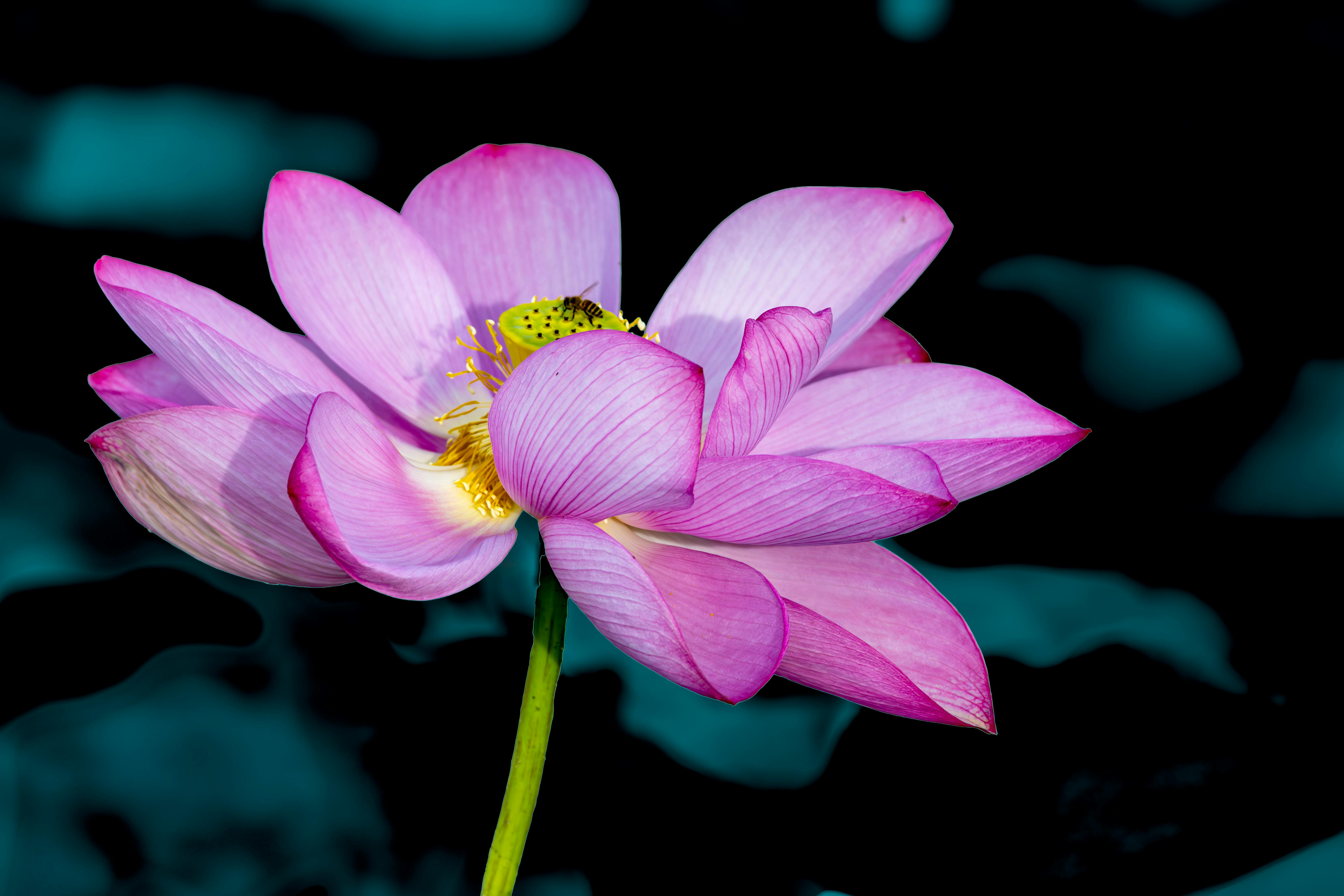 Exploring Visual Symbolism in Literature: Darkness and Light