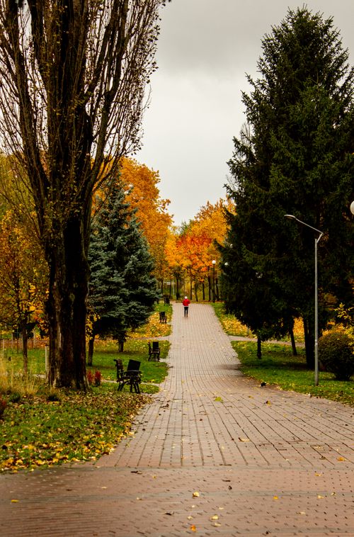 Free Scenic autumn park with a lone person walking on a paved path lined with colorful trees. Stock Photo