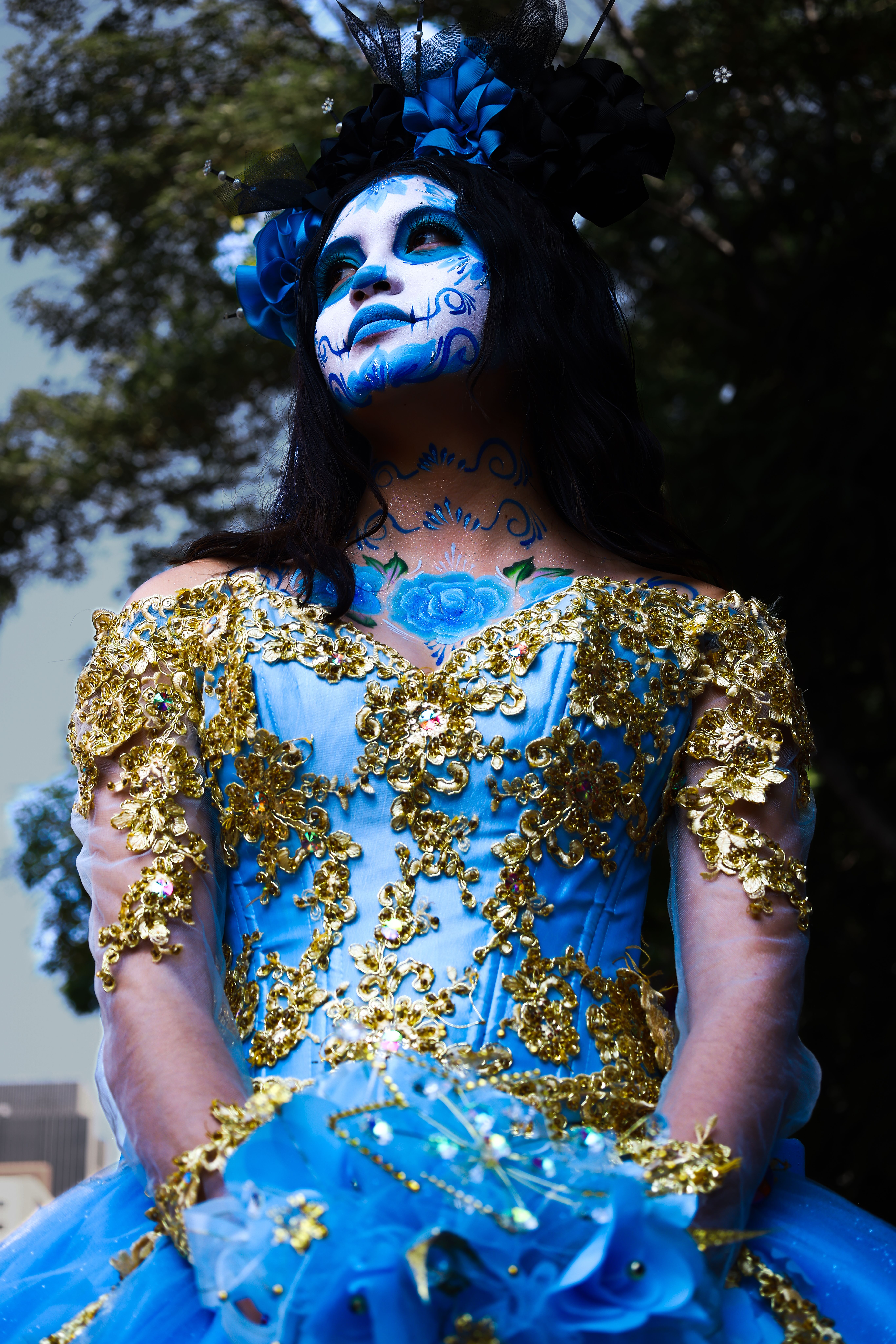 The Dress Blue And Black Or White And Gold Photos, Download The BEST Free  The Dress Blue And Black Or White And Gold Stock Photos & HD Images