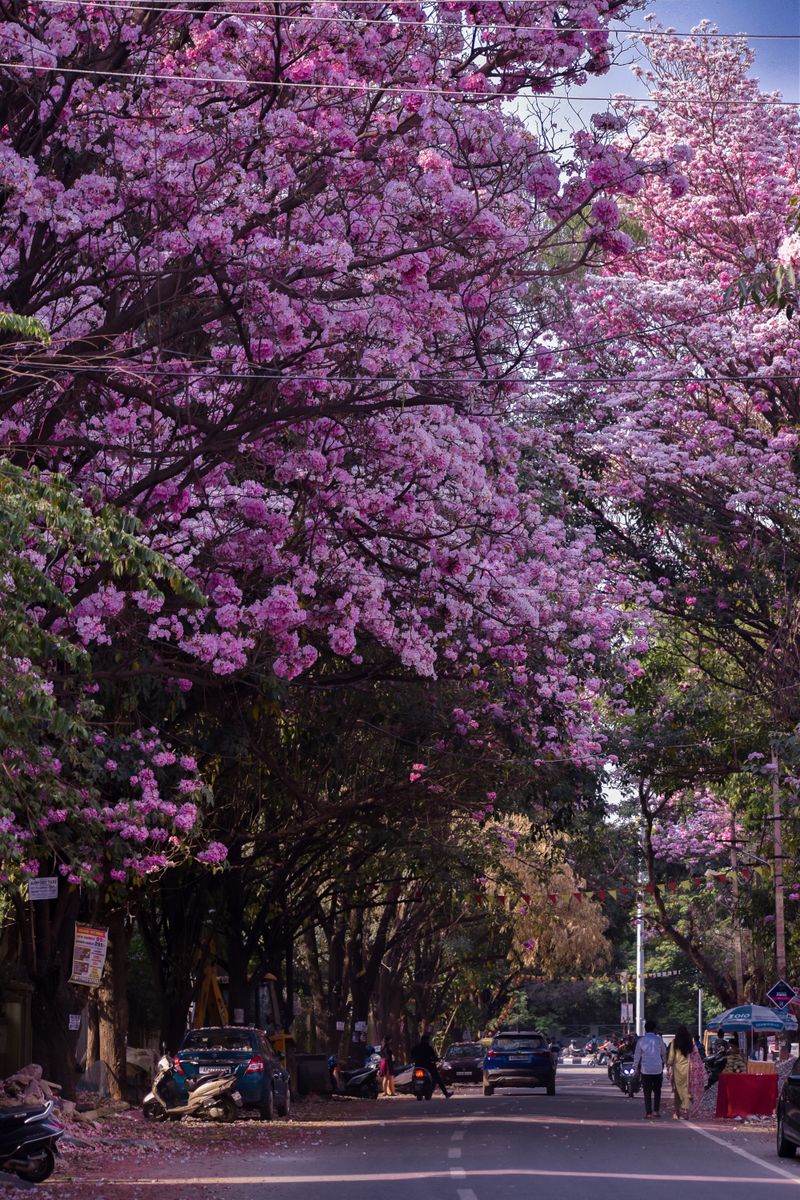 Indiranagar