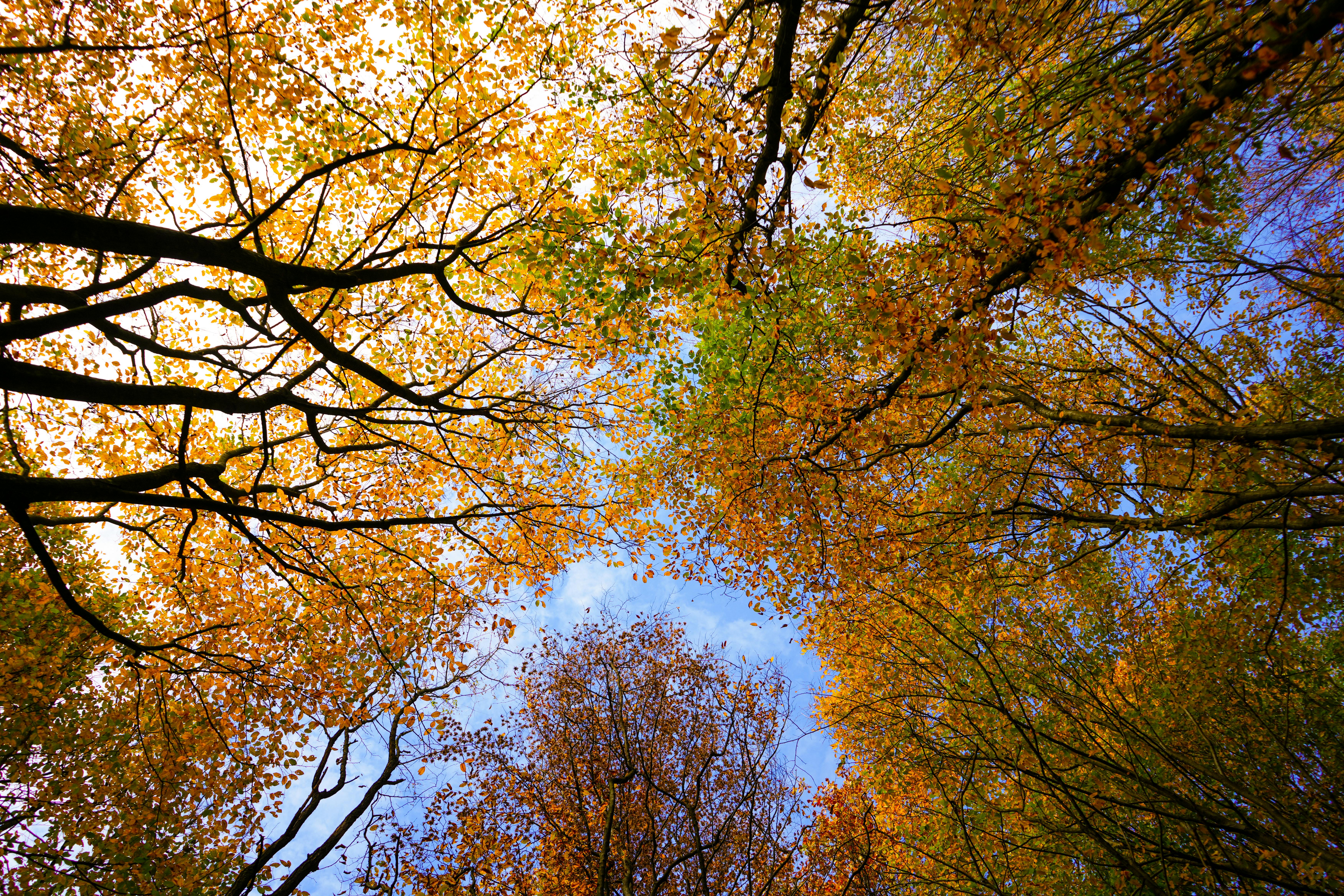 雲科大推動全民綠生活與毒化災防制教育，打造永續綠色未來