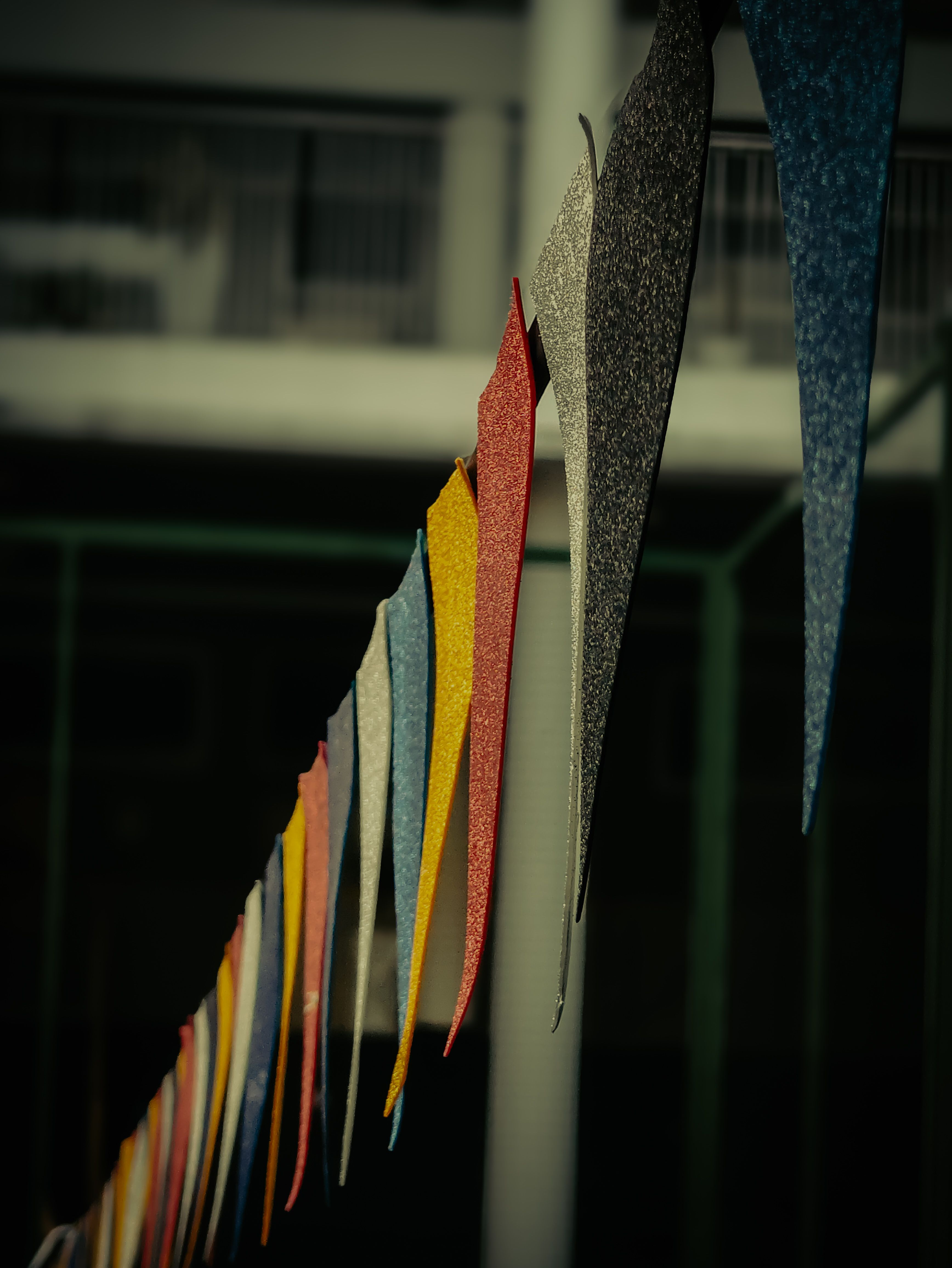 pexels photo 34529569