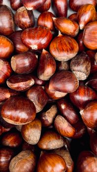 glossy brown chestnuts