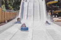 White Slides