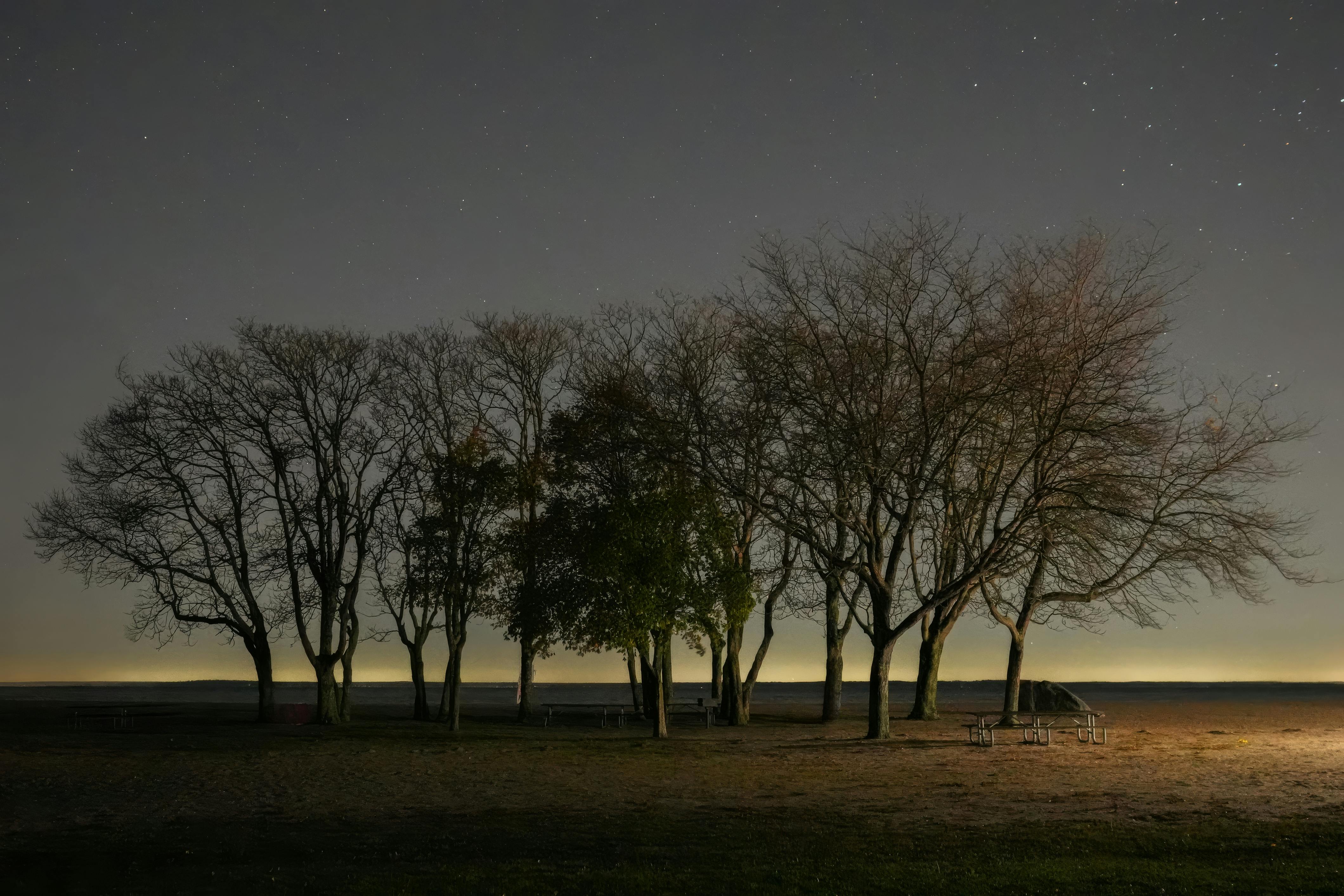 12星座今日運勢解析〈11.02星期日〉｜科技紫微網每日星座指南