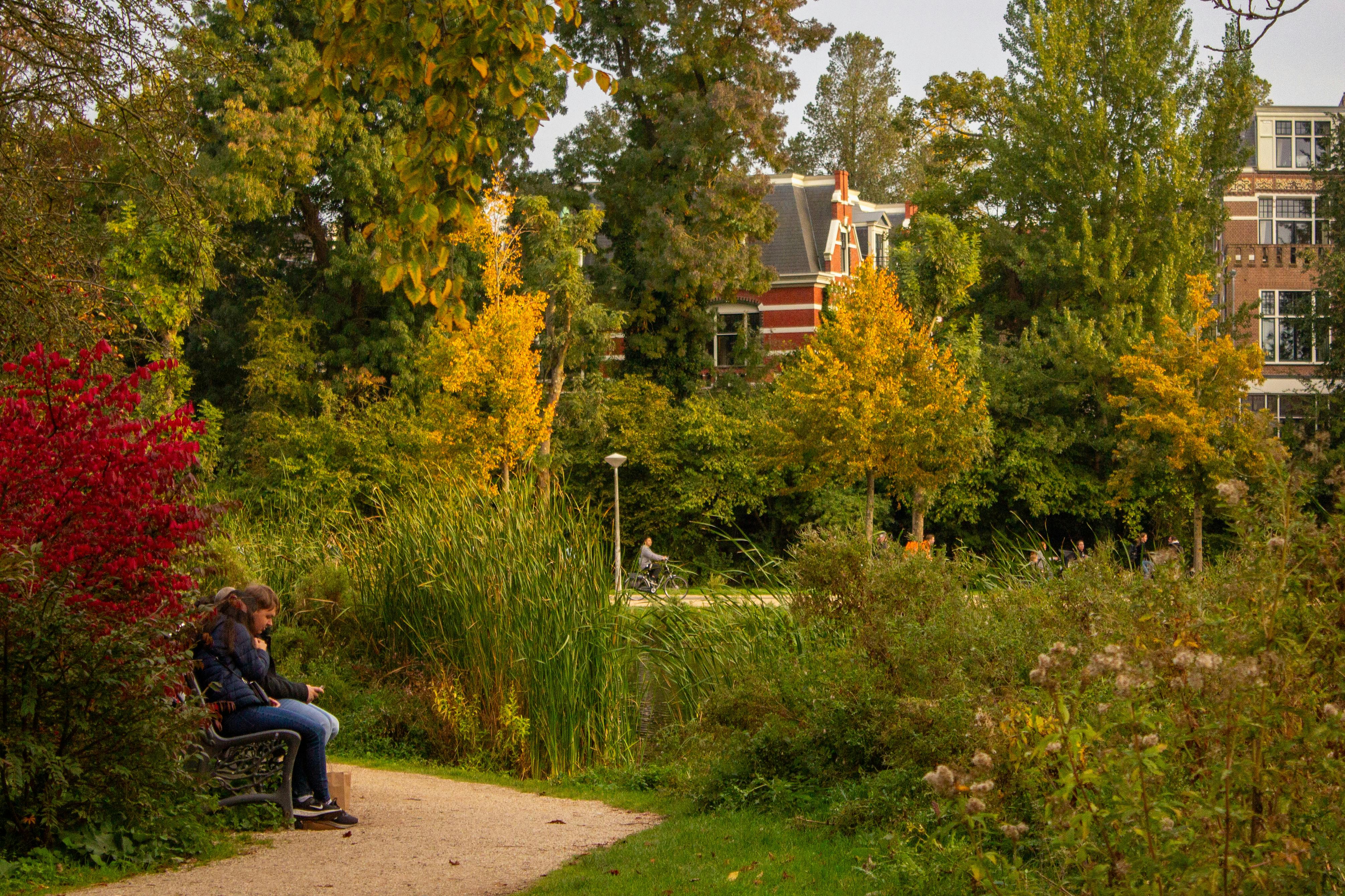 Herfstpark